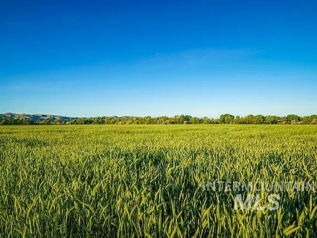 1111 E Idaho Blvd 151 Acres, Emmett, Idaho, 83617, United States, ,Land,For Sale,1111 E Idaho Blvd 151 Acres,1630752