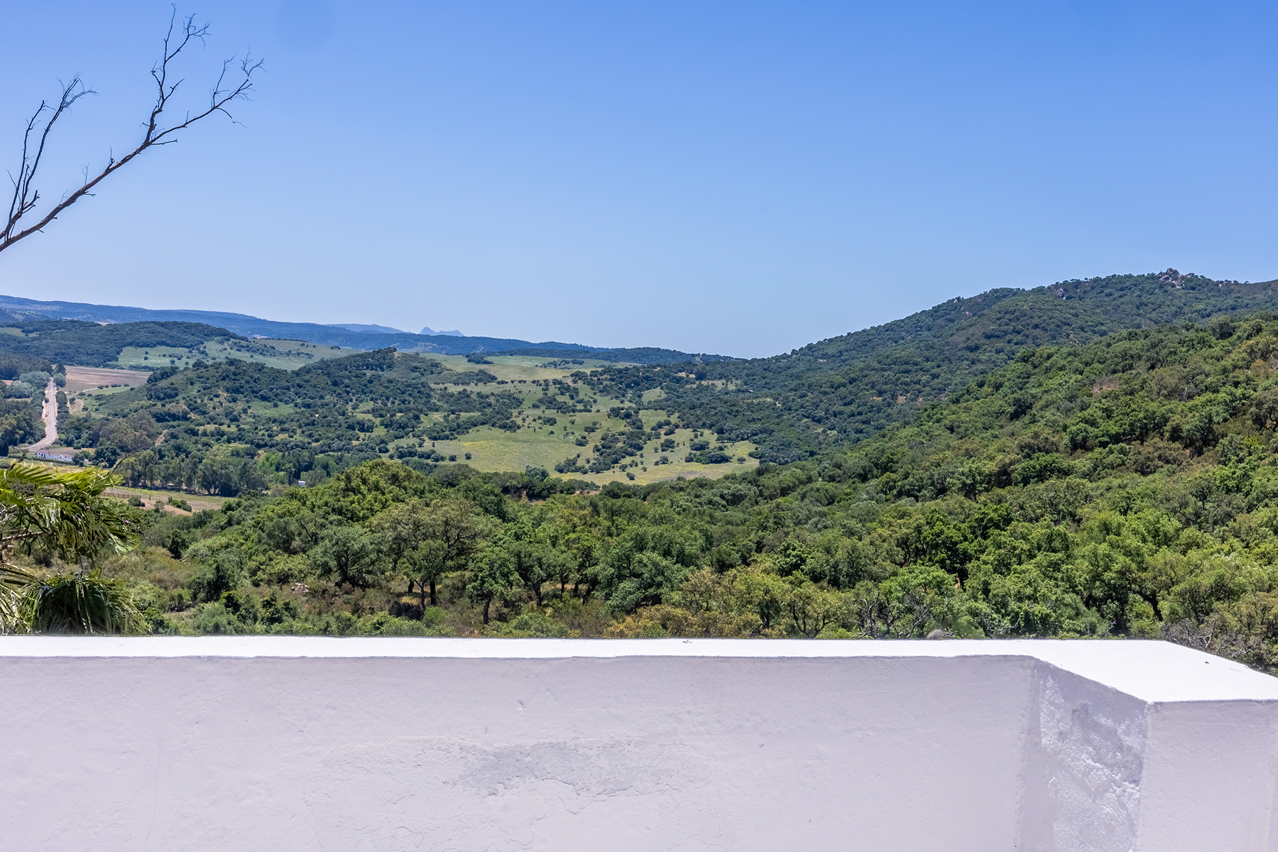  Exclusive Estate in Los Alcornocales Natural Park - 物件實景