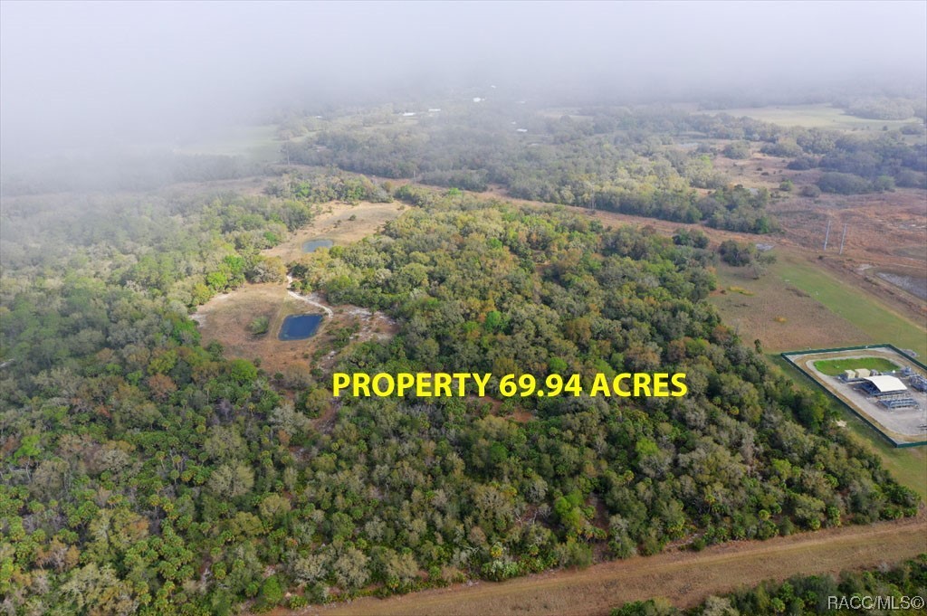 11234 W Dunnellon Road, Crystal River, Florida, 34428, United States, ,Residential,For Sale,11234 W Dunnellon Road,1484038