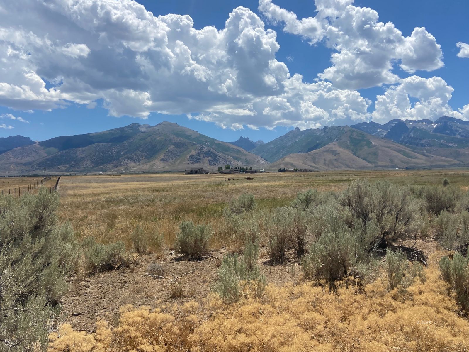 Lamoille, Nevada, 89828, United States, ,Land,For Sale,1911712