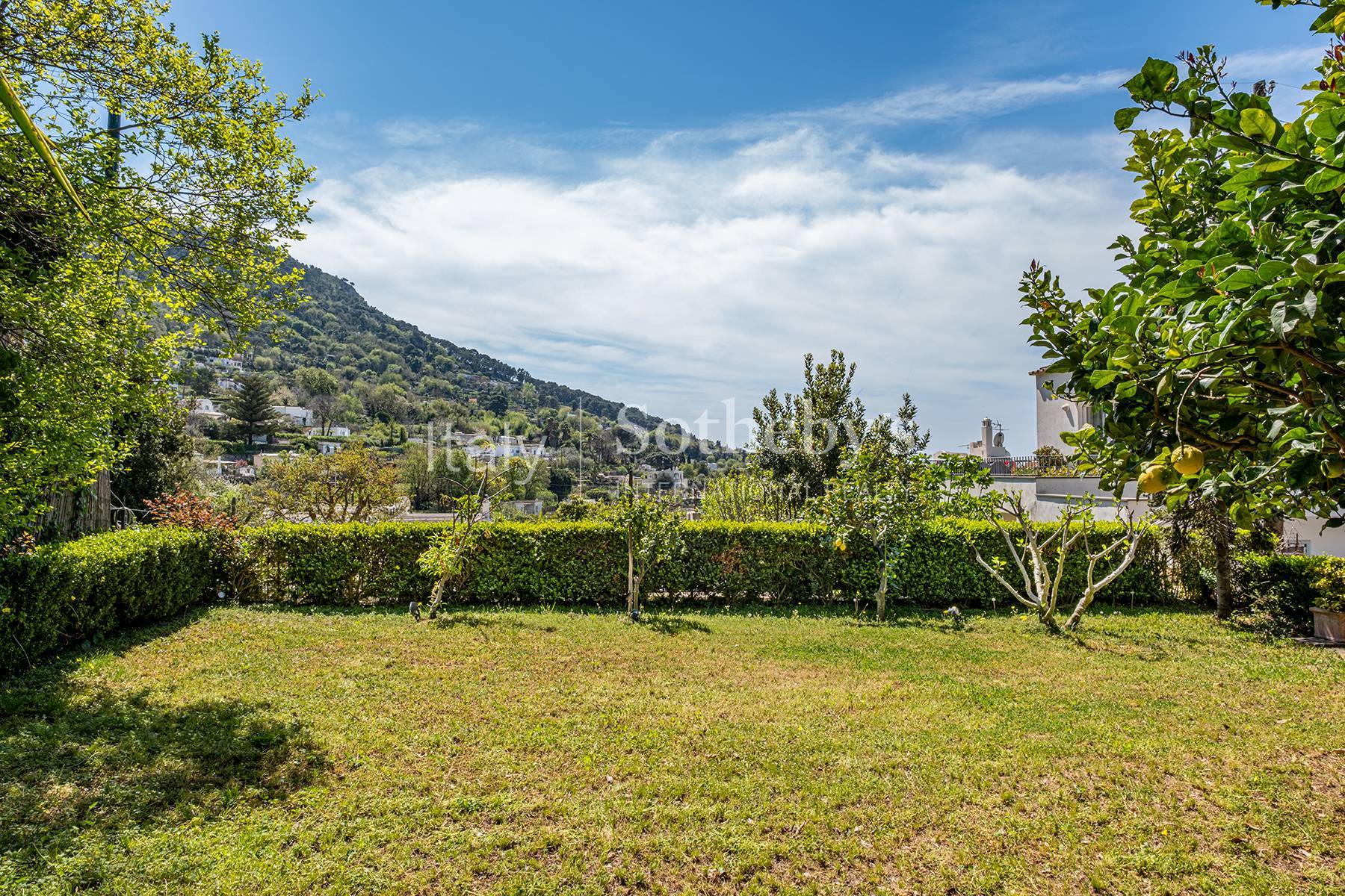  Detached apartment in historic villa with terrace and garden - 物件實景