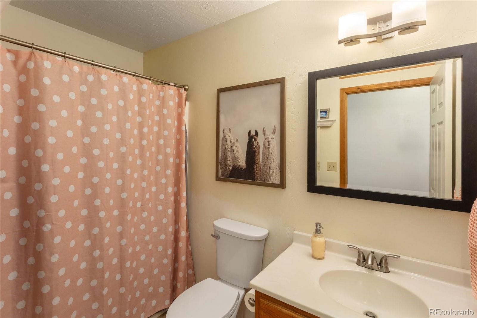 Salida, Colorado, 81201, United States, 3 Bedrooms Bedrooms, ,1 BathroomBathrooms,Residential,For Sale,1920460