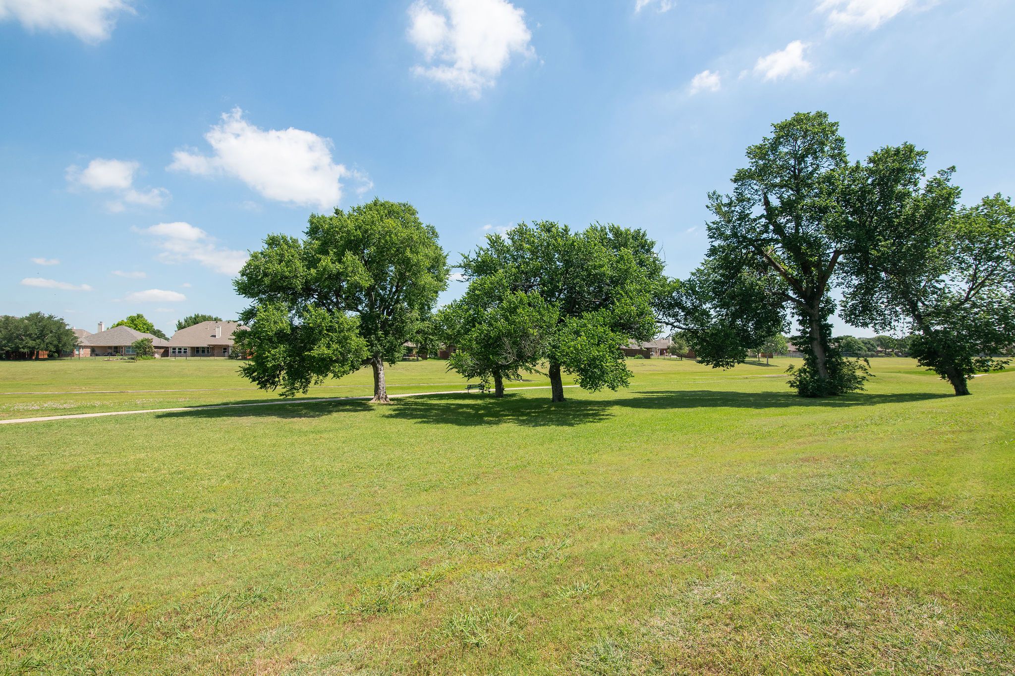  204 Country Lakes Drive - 物件實景