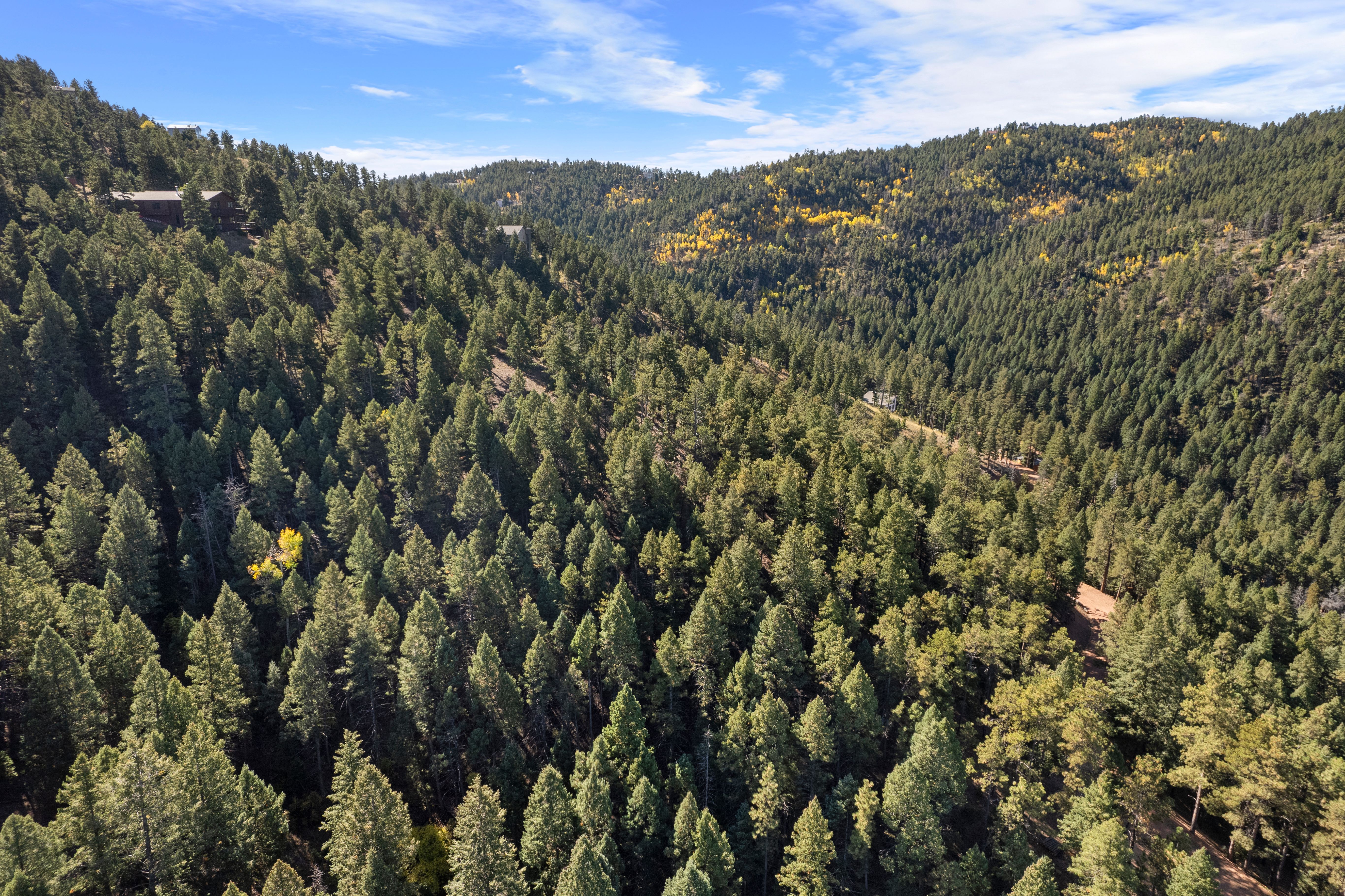  Nestled in the serene Woodmoor Mountain - 物件實景