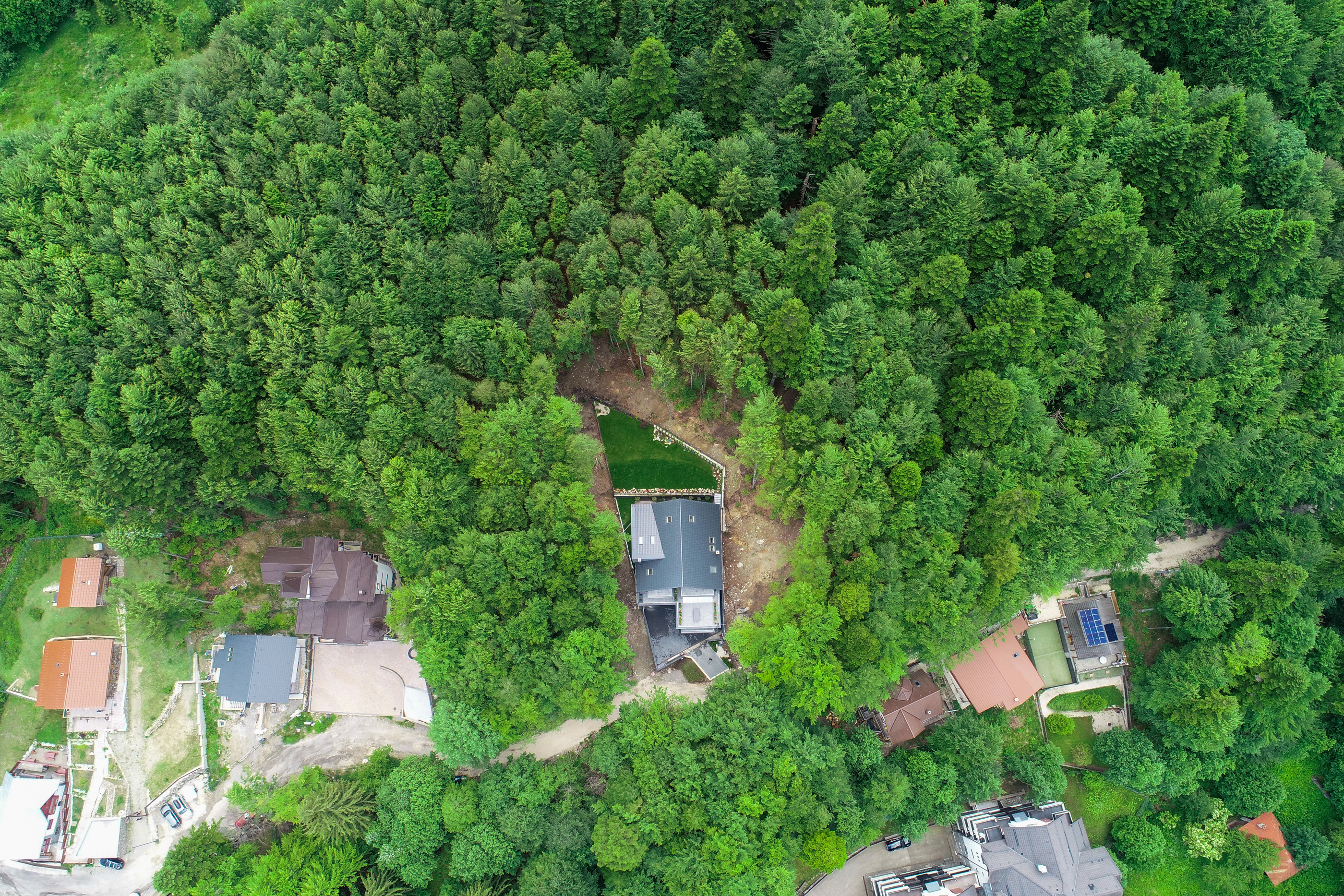  Modern Apartment with Private Garden at the Edge of the Forest, Sinaia - 物件實景