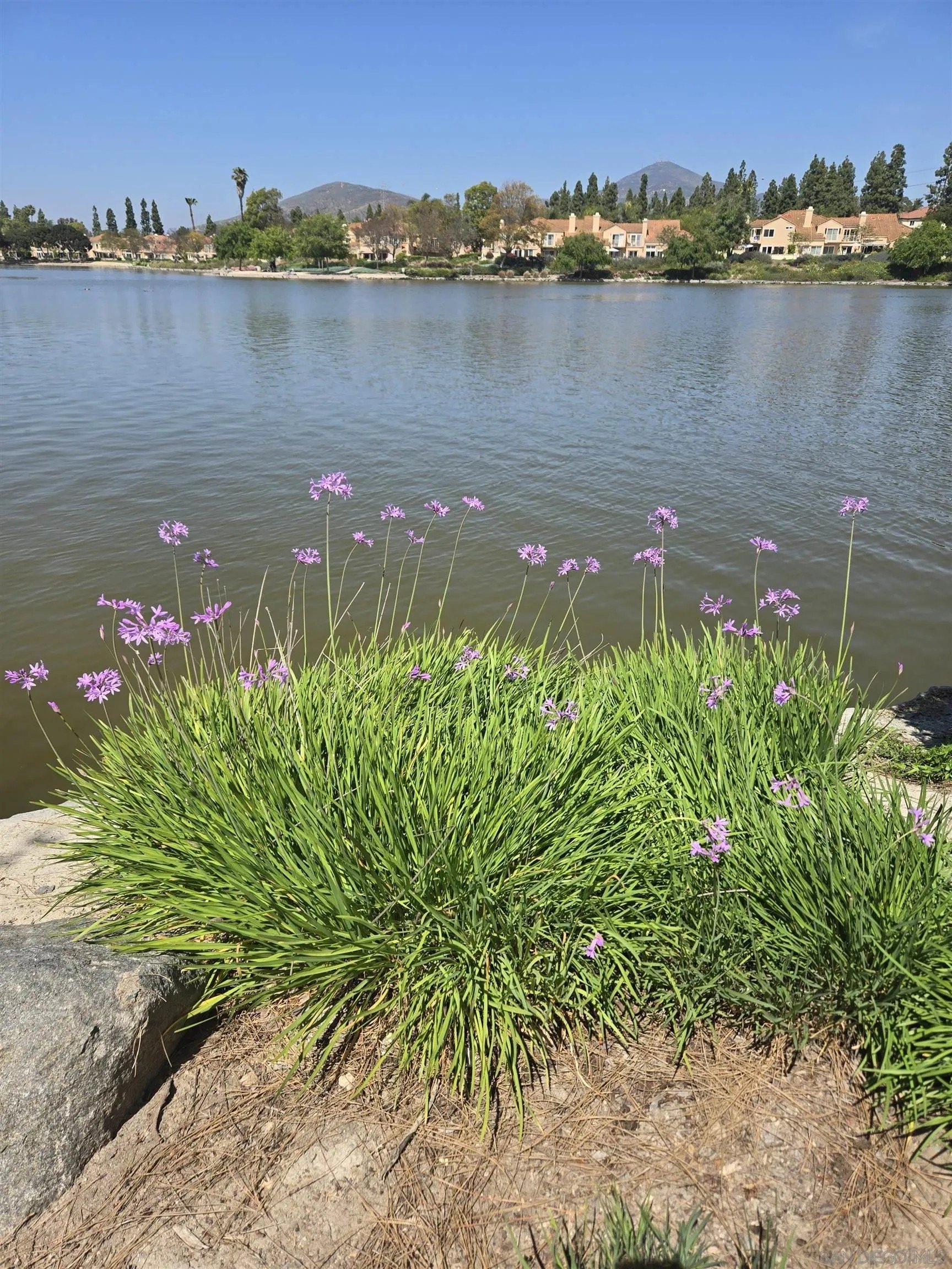 Chula Vista, California, 91913, United States, 3 Bedrooms Bedrooms, ,2 BathroomsBathrooms,Residential,For Sale,1859541