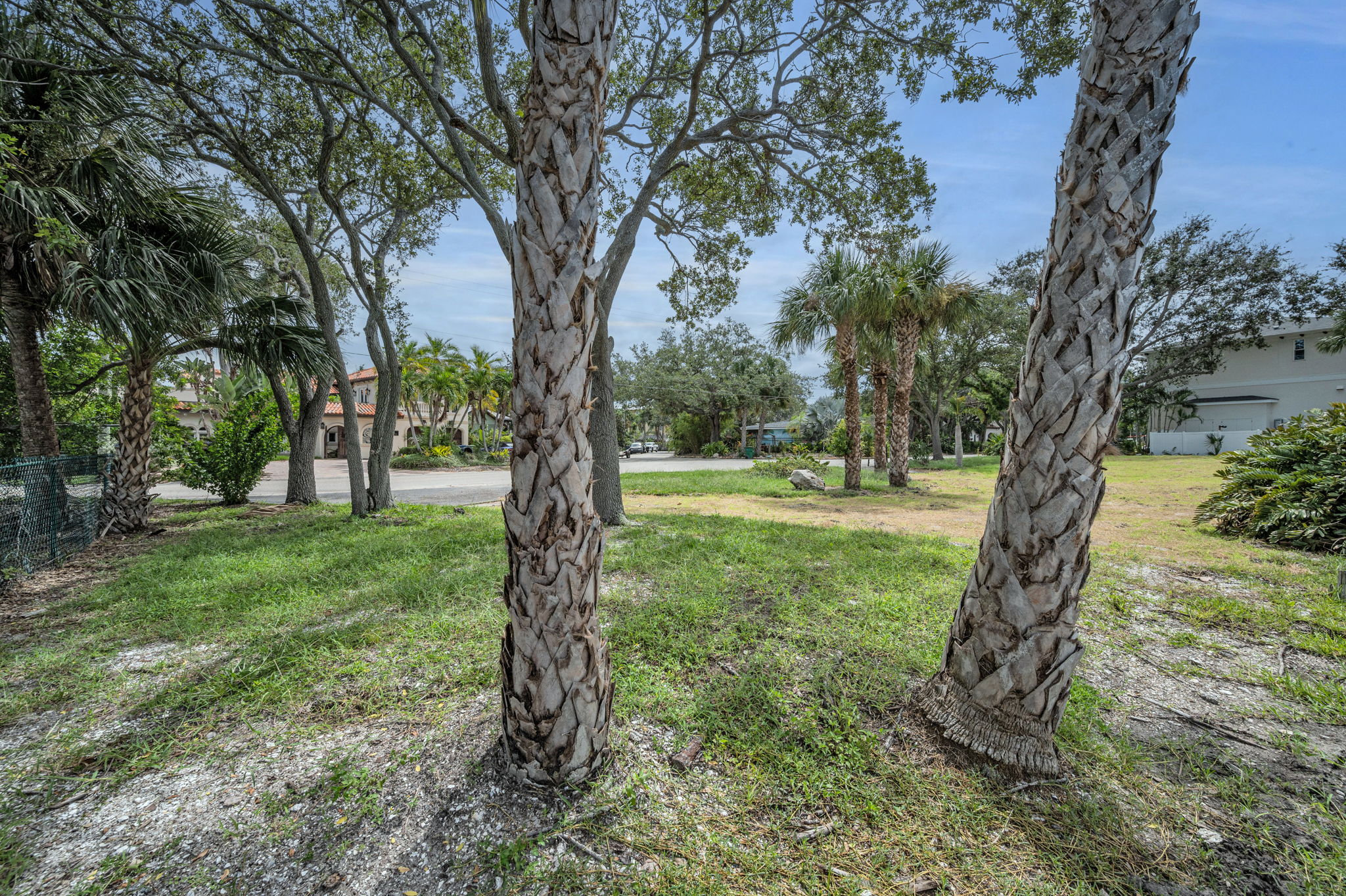 Tampa, Florida, 33609, United States, ,Land,For Sale,1976610