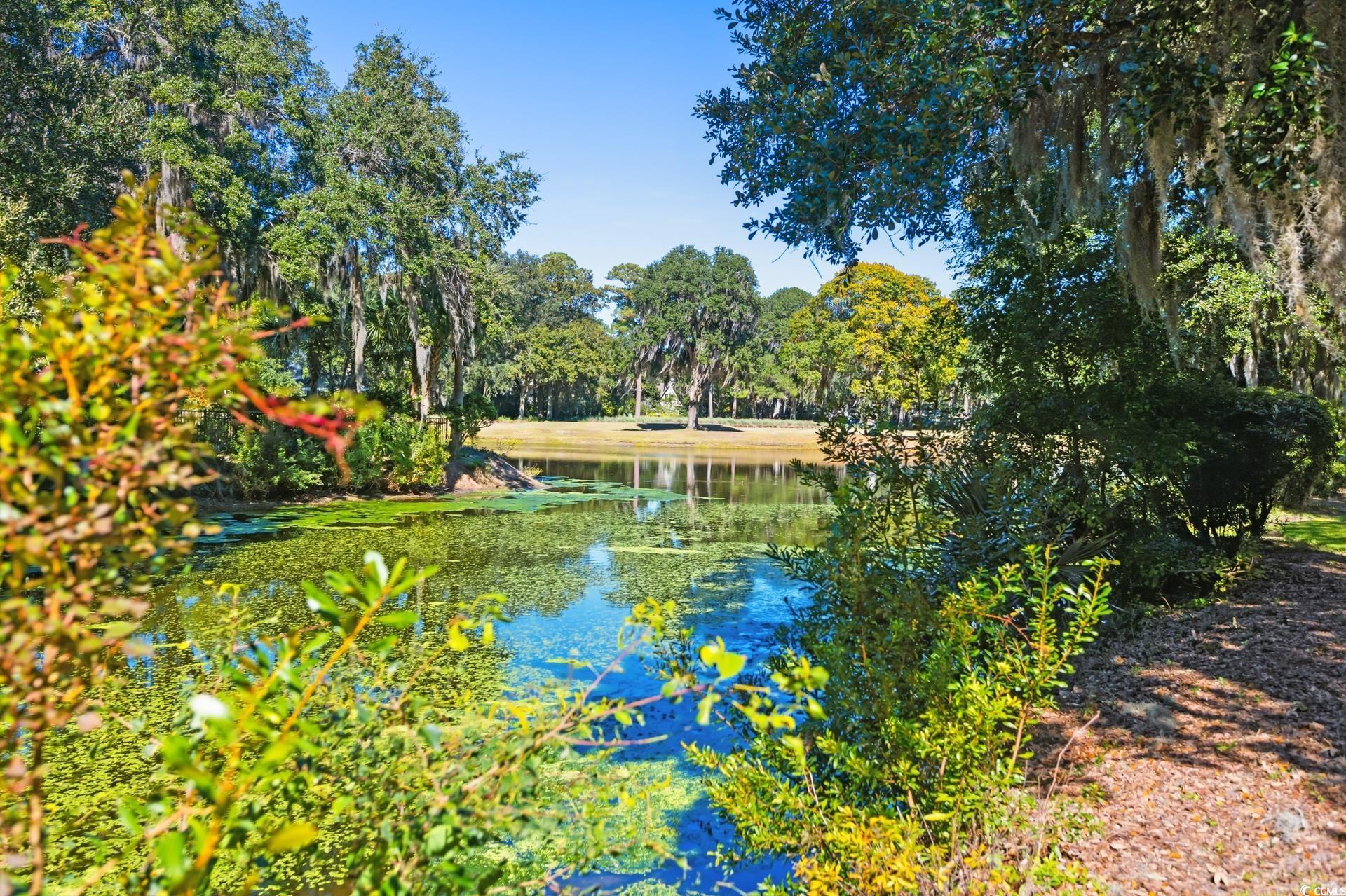  15 Pinckney Rd.  DeBordieu Colony - 物件實景