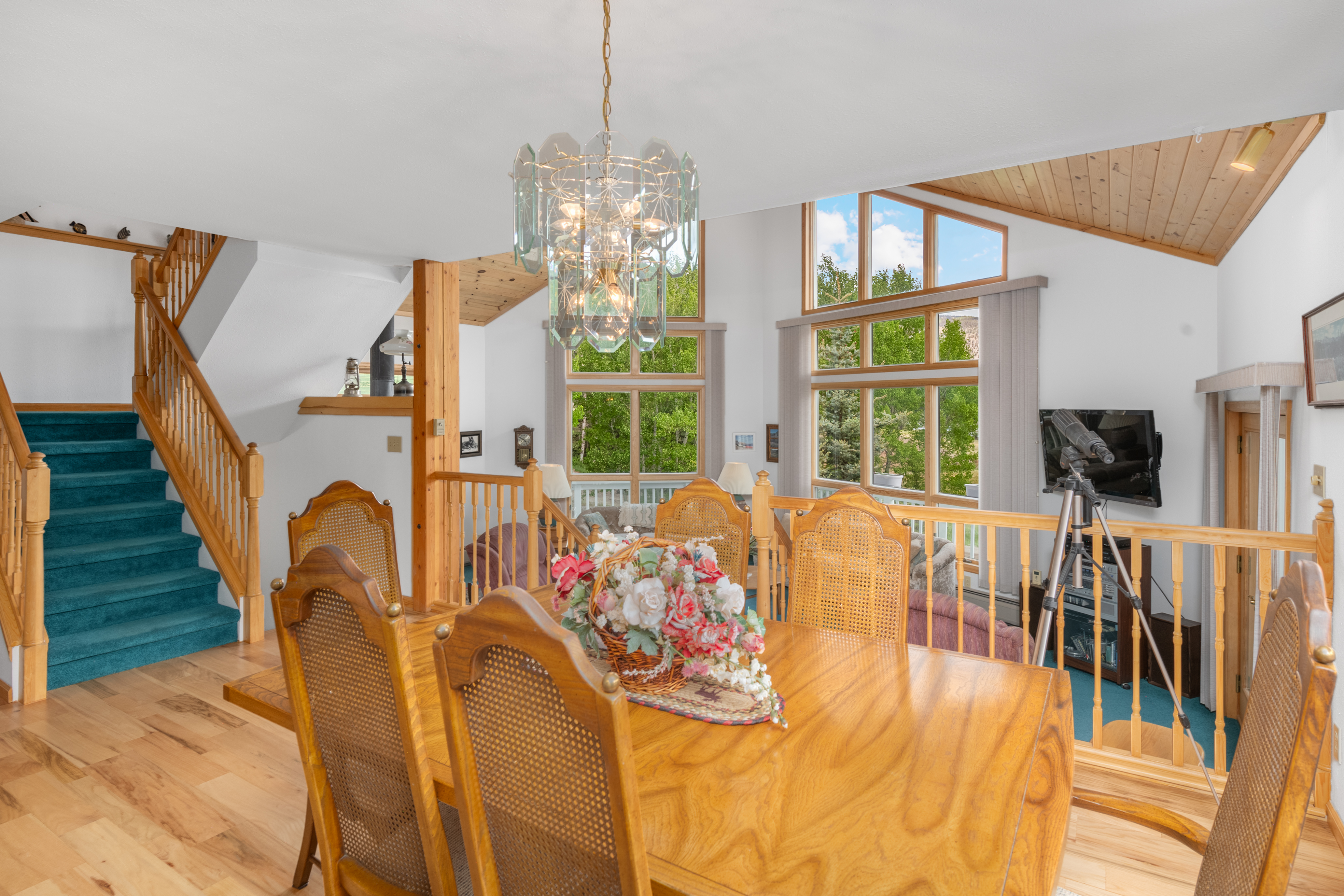 2079 Hummingbird Lane, Lake City, CO, 81235 - 物件實景