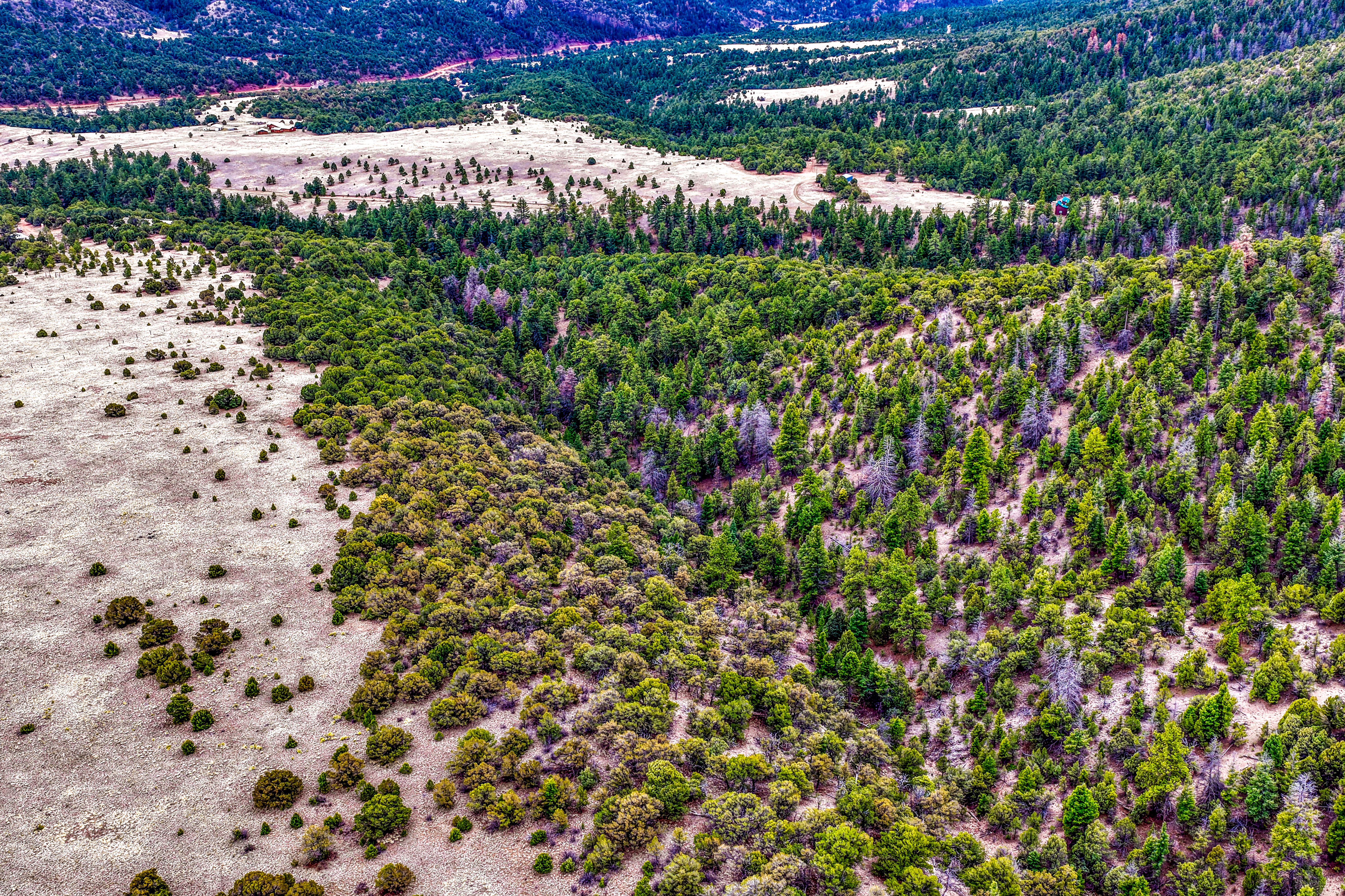  Spectacular 119 acre ranch tucked into a scenic mountain valley - 物件實景
