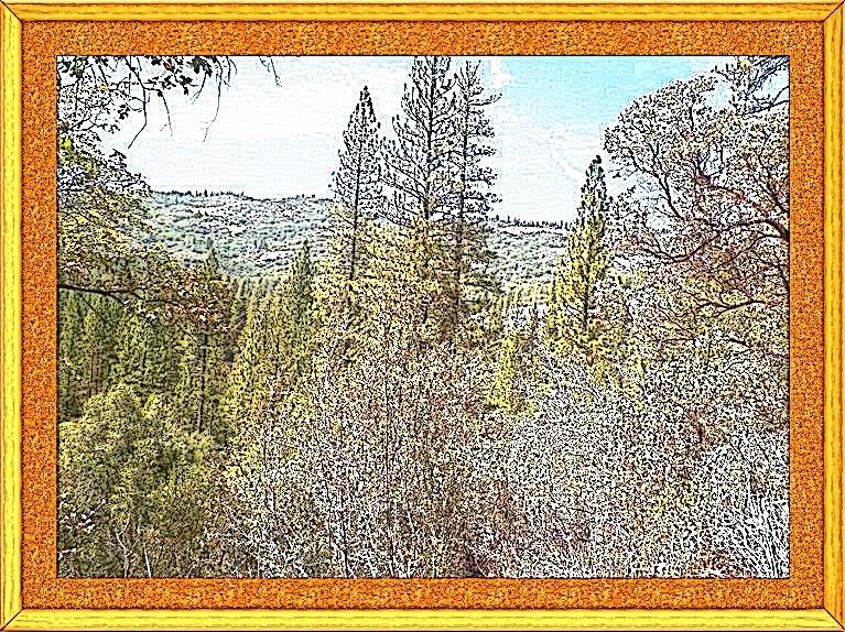 Sanger, California, 93657, United States, ,Residential,For Sale,1809815