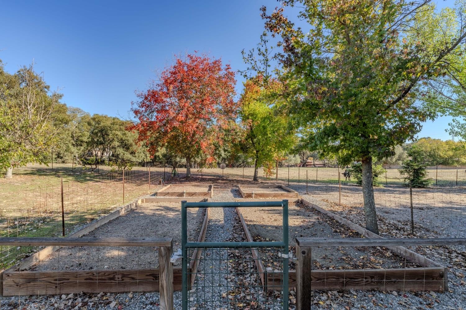 Valley Springs, California, 95252, United States, 3 Bedrooms Bedrooms, ,2 BathroomsBathrooms,Residential,For Sale,1981234