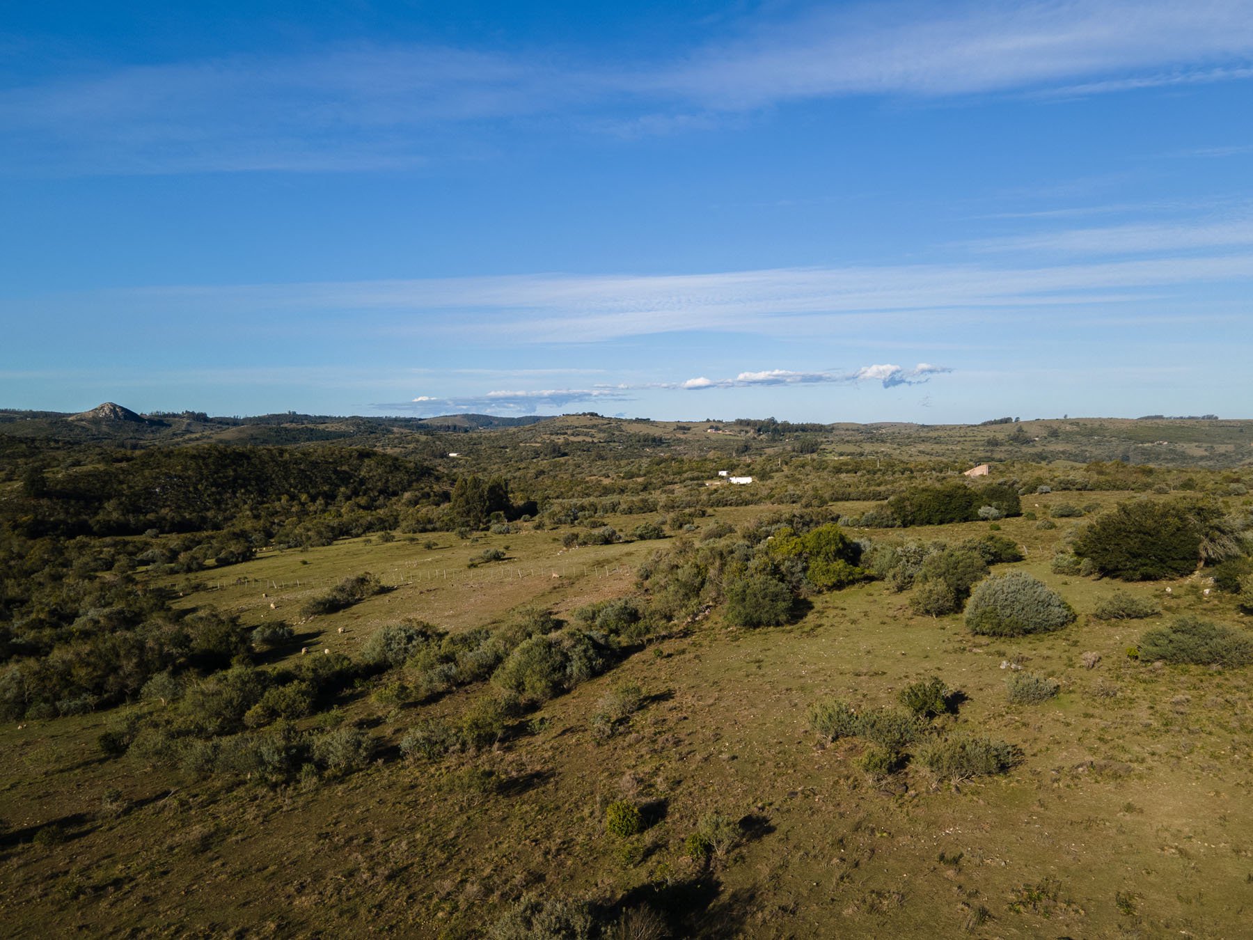  63.25 acres farm in Pueblo Edén. - 物件實景
