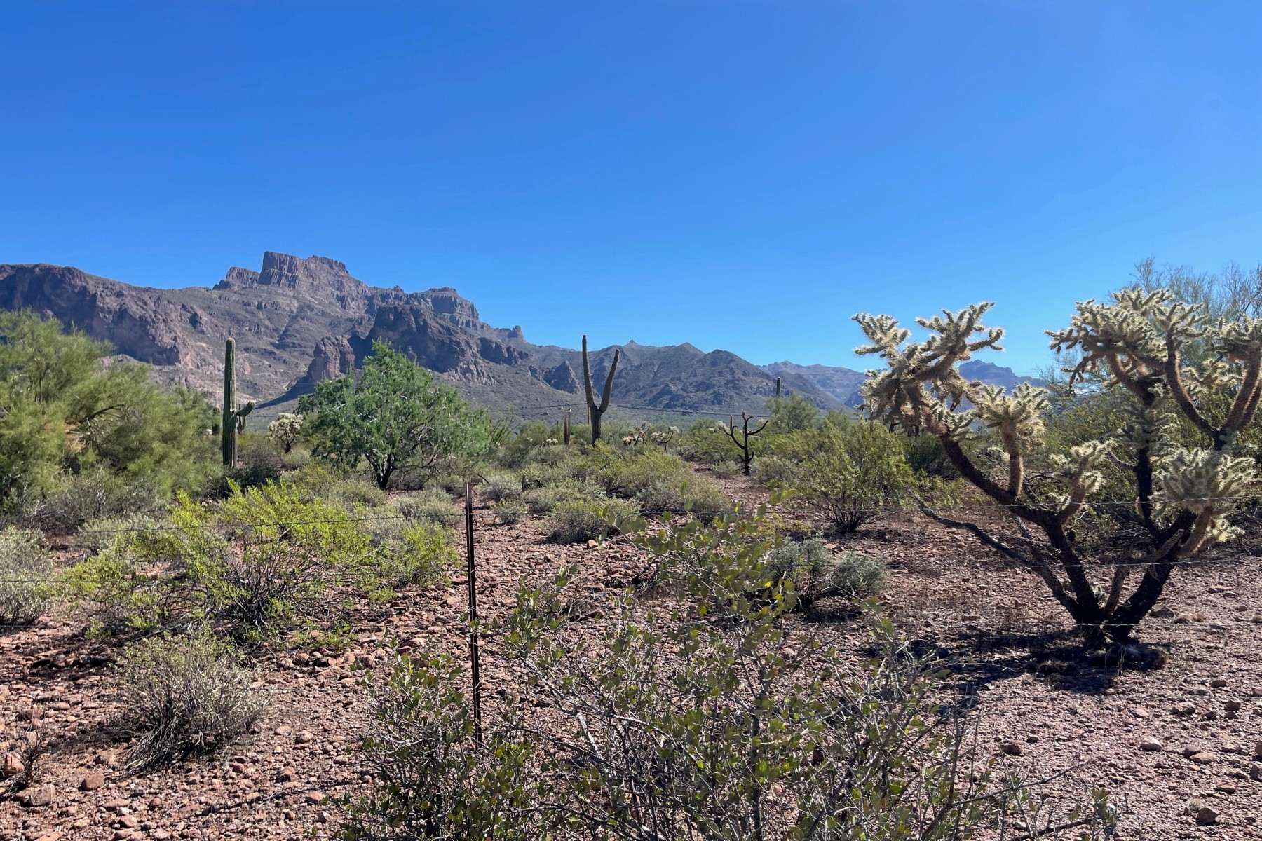  52 E Scenic (geronimo) Street¦Apache Junction, AZ - 物件實景