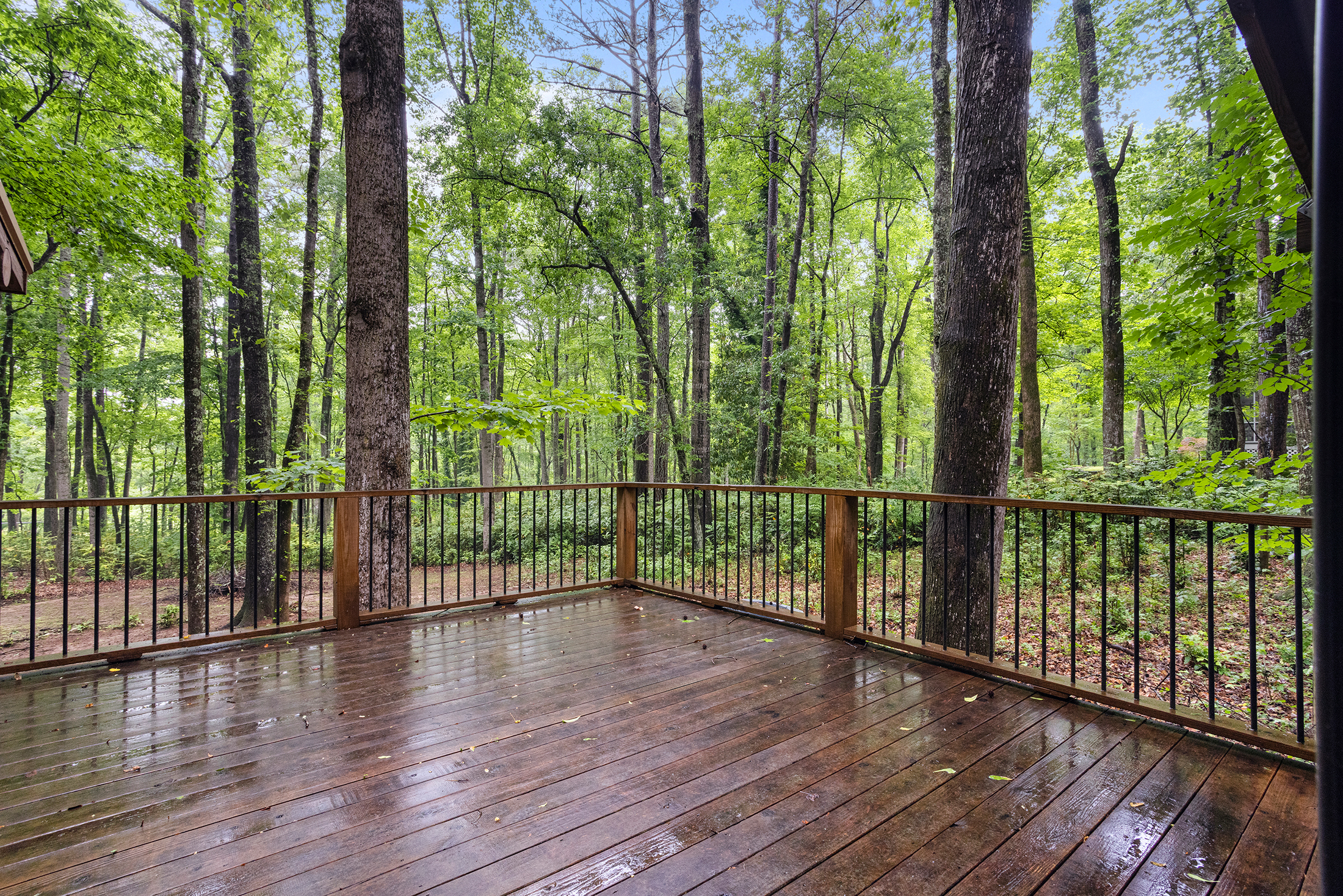  Charming, Private Cabin Overlooking Lake Coweta - 物件實景