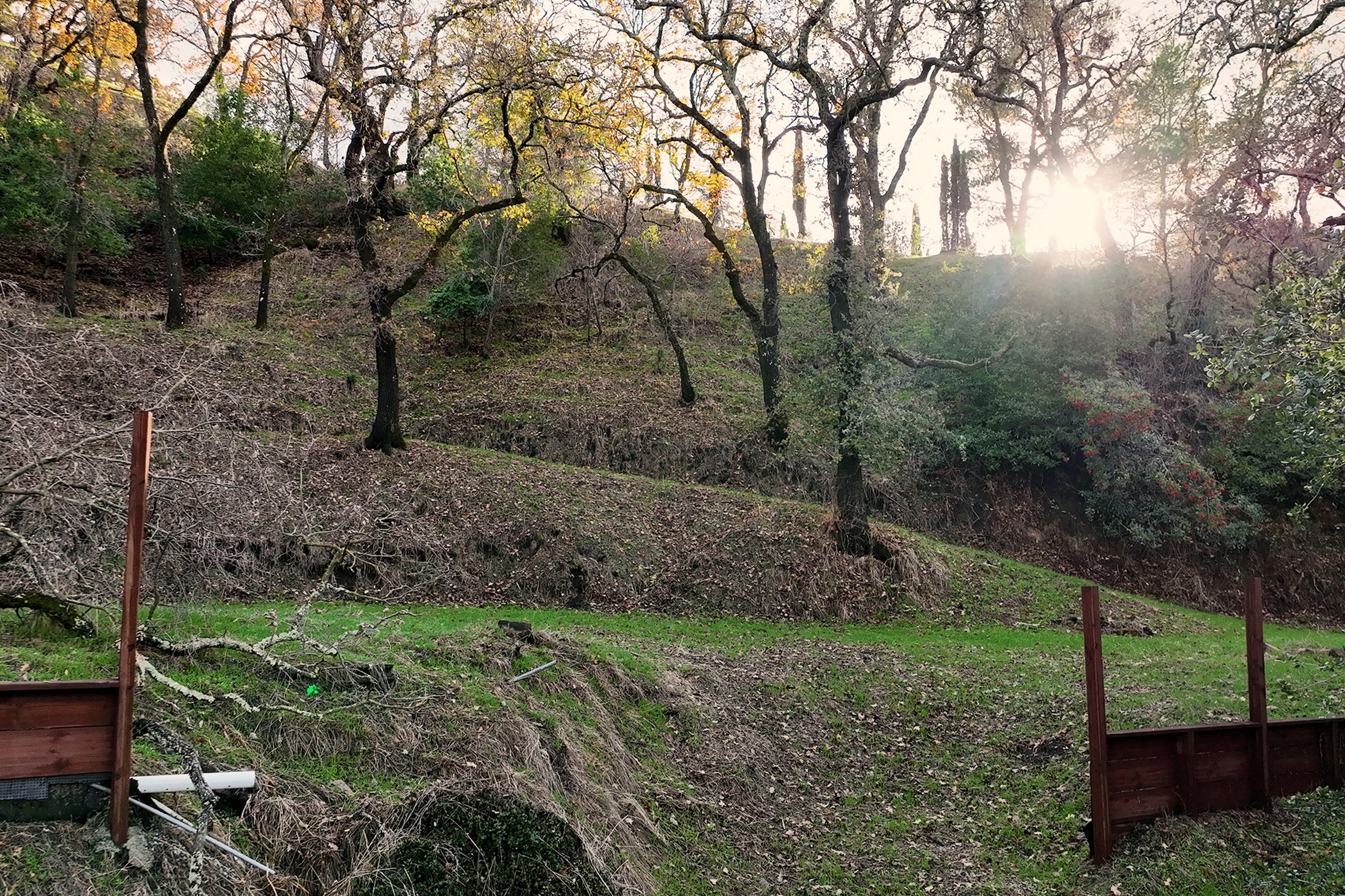  Build Your Dream Home on Nearly an Acre with Sweeping Walnut Creek Views - 物件實景