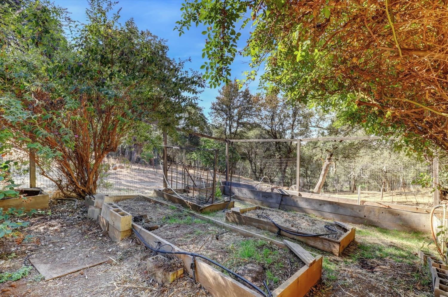 11709 Rough And Ready Road, Rough and Ready, California, 95975, United States, 2 Bedrooms Bedrooms, ,2 BathroomsBathrooms,Residential,For Sale,11709 Rough And Ready Road,1622564