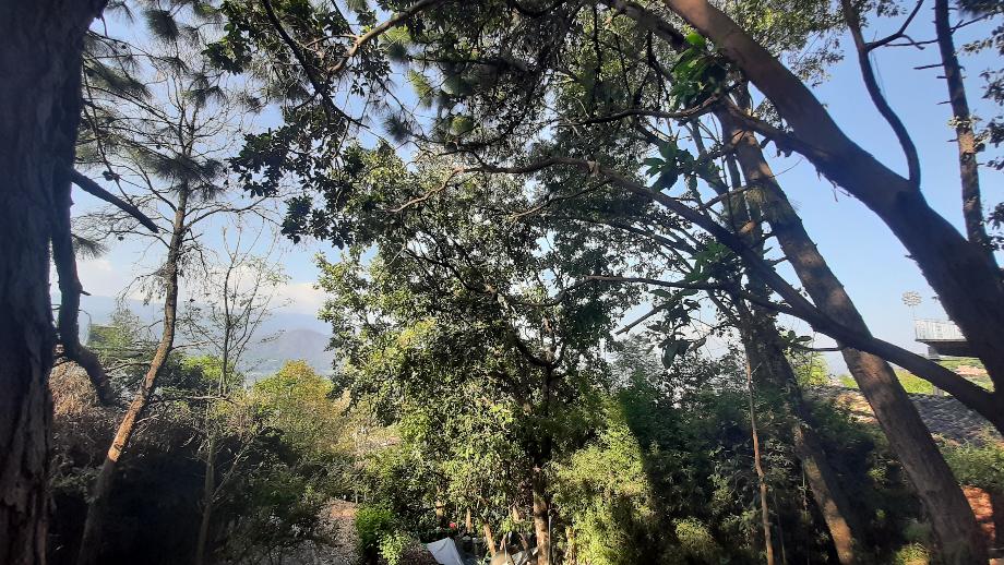 Valle de Bravo, Estado de méxico, 51200, Mexico, 1 Bedroom Bedrooms, ,Residential,For Sale,1721509