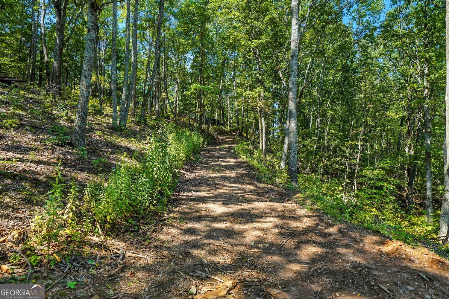 Waleska, Georgia, 30183, United States, ,Land,For Sale,1929808