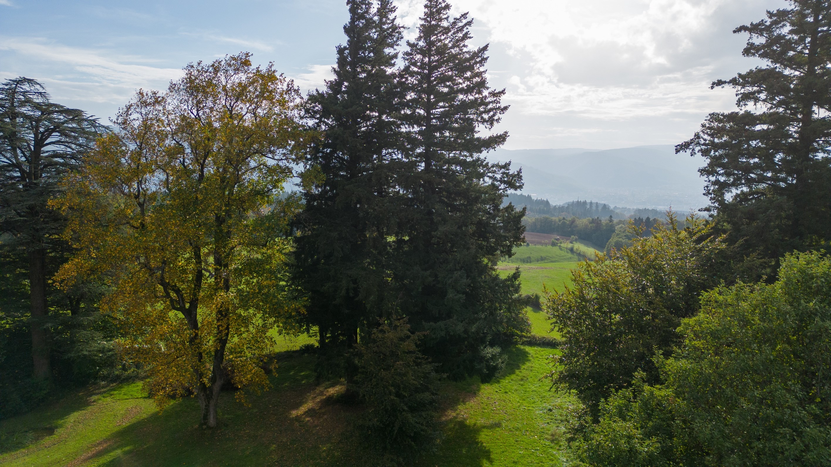 Maison de Maître and gîtes with a view of the Montagne Noire - 物件實景