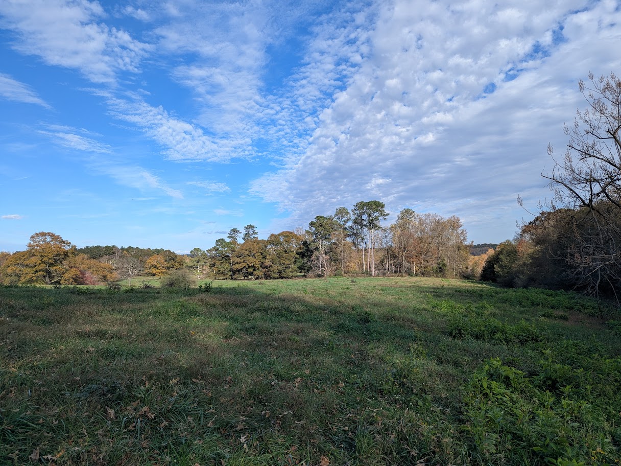 Bowdon, Georgia, 30108, United States, ,Land,For Sale,1989904