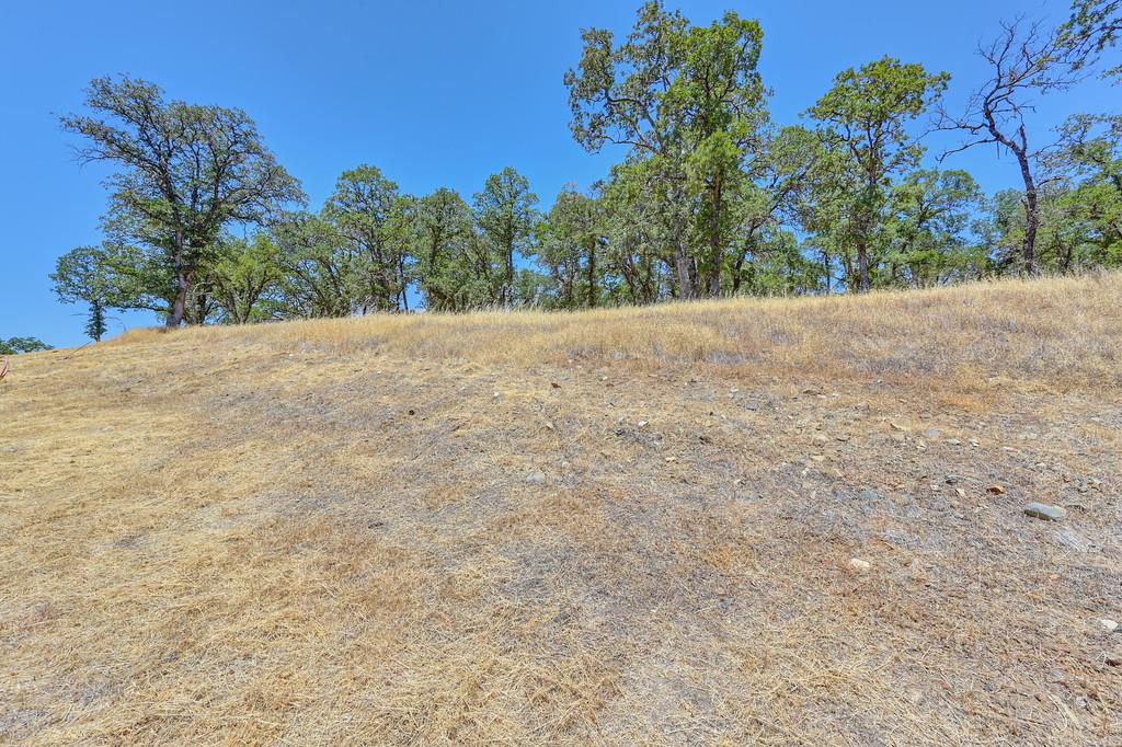 El Dorado Hills, California, 95762, United States, ,Land,For Sale,1874458