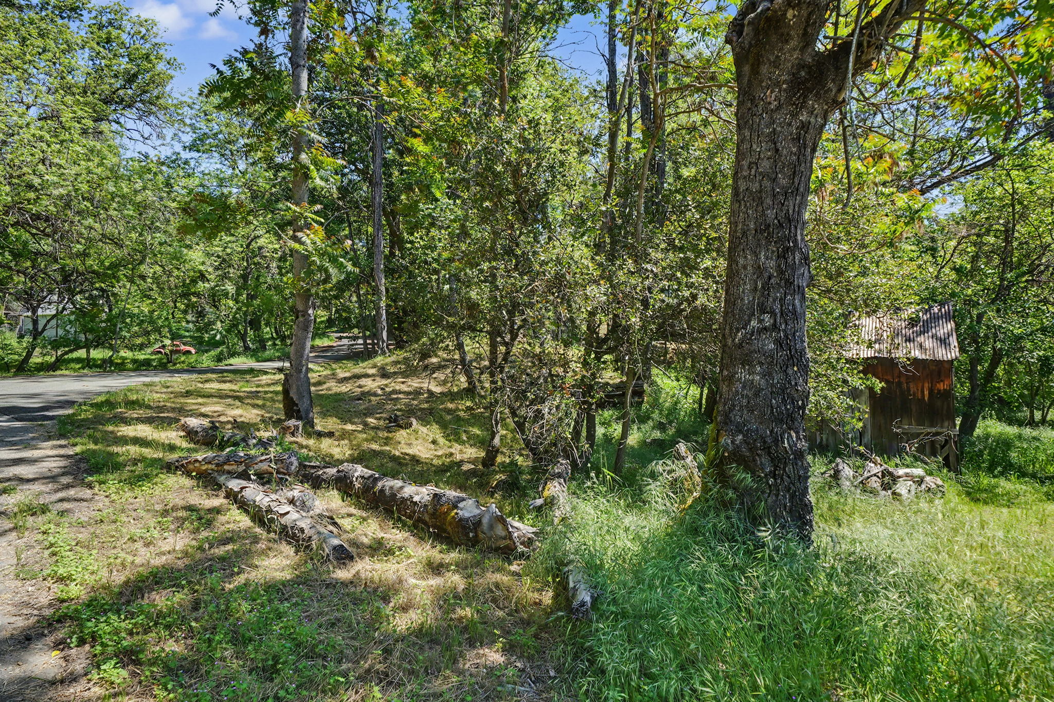  16308 emigrant  trail, volcano, ca 95689 - 物件實景