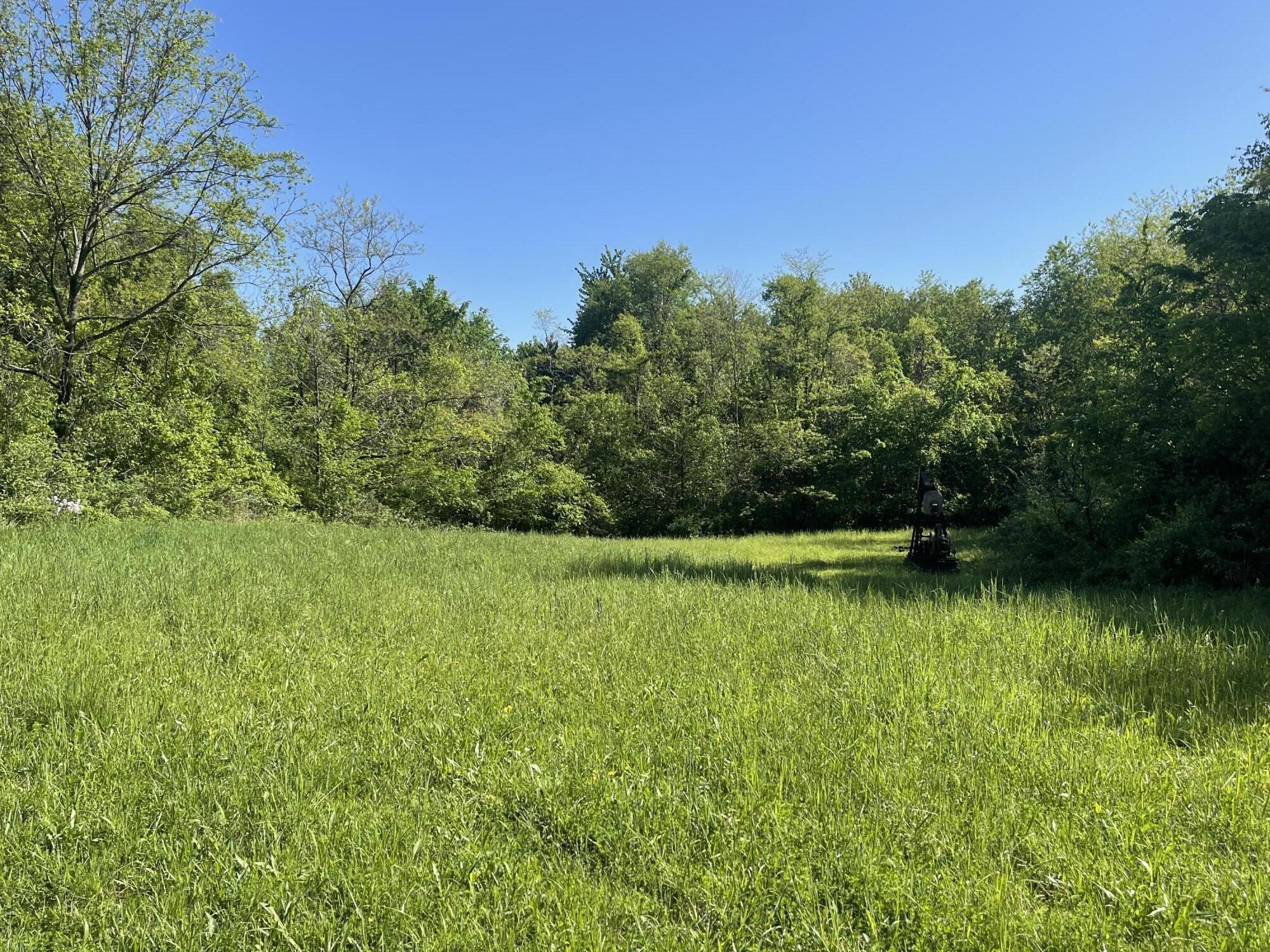 Saint Louisville, Ohio, 43071, United States, ,Land,For Sale,1981627