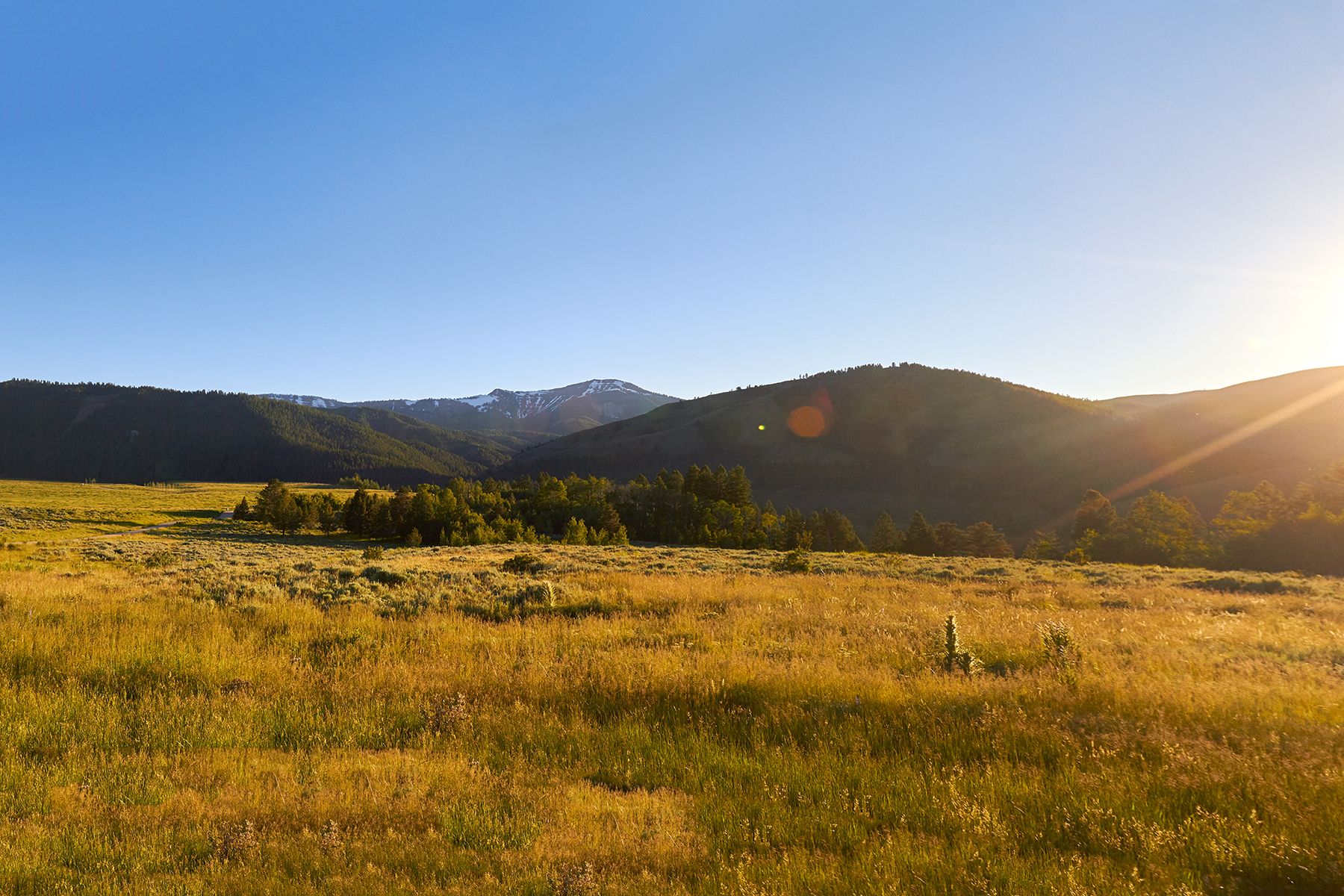  Snake River Sporting Club Lot - 物件實景