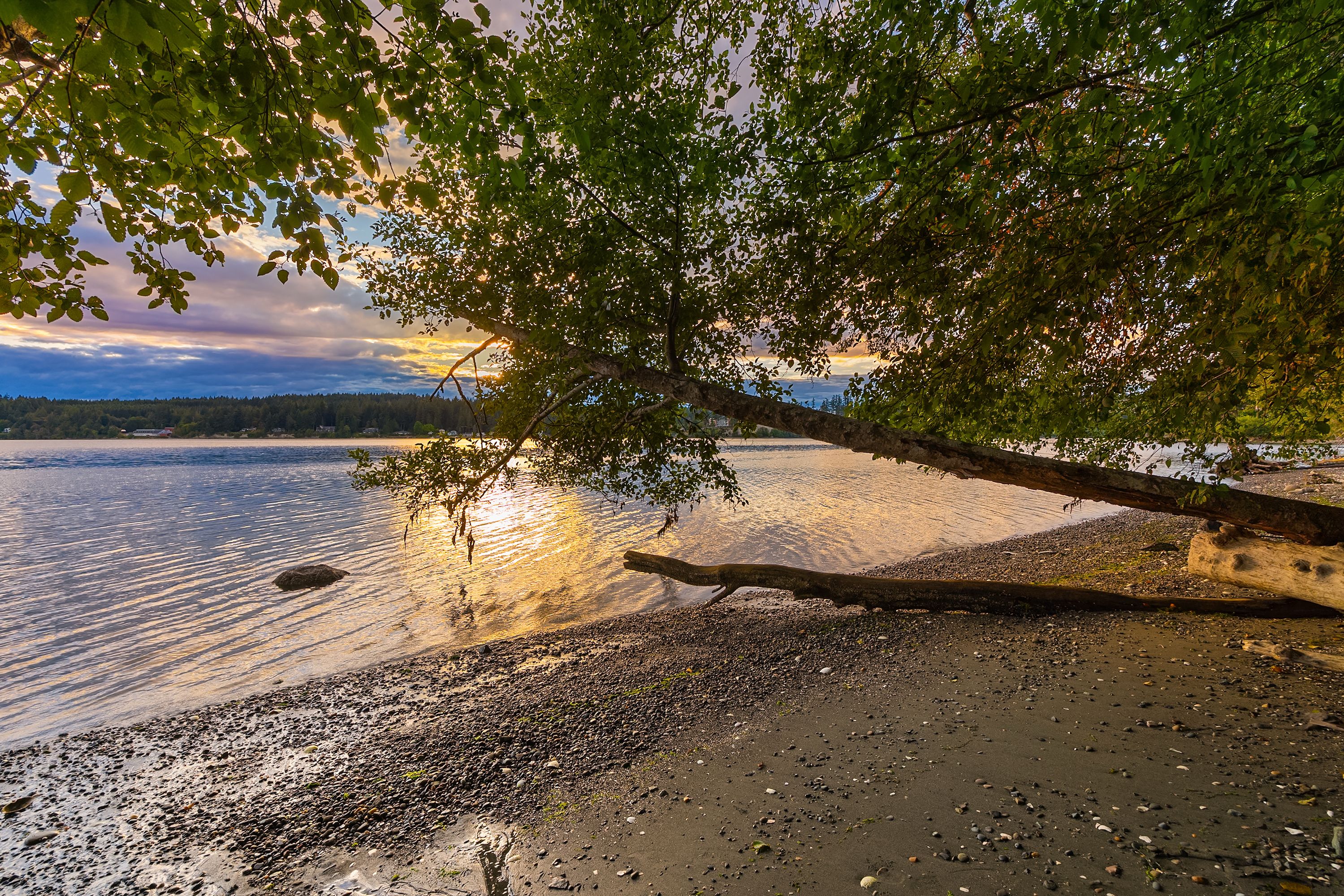  6400 NE Agate Beach Lane, Bainbridge Island, WA 98110 - 物件實景