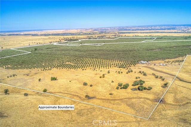 Oroville, California, 95965, United States, ,Land,For Sale,1978815