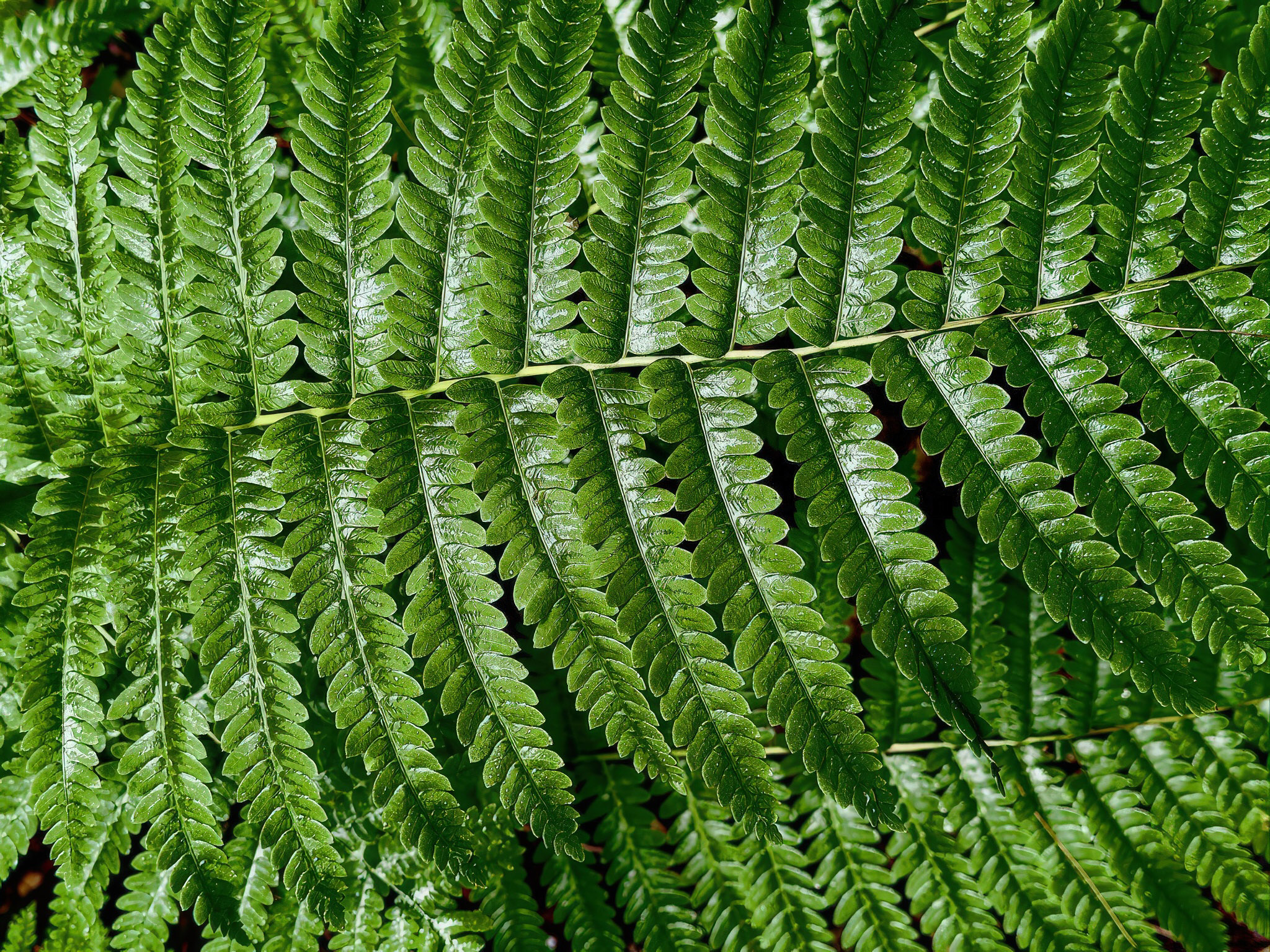 Branch, Michigan, 49402, United States, 1 Bedroom Bedrooms, ,1 BathroomBathrooms,Residential,For Sale,2001233