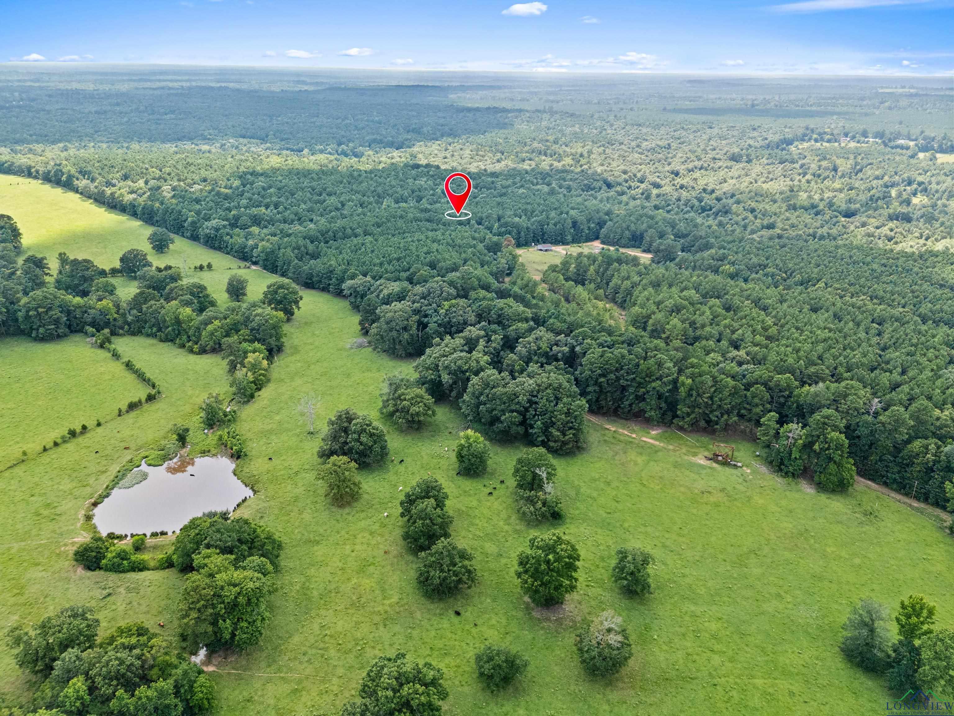 Jefferson, Texas, 75657, United States, ,Land,For Sale,1890245