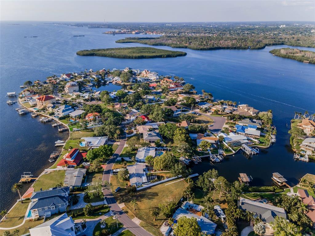 Palm Harbor, Florida, 34683, United States, ,Land,For Sale,1779220