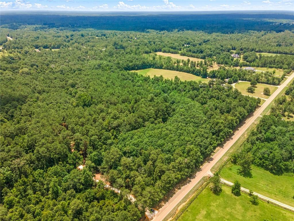 Bush, Louisiana, 70431, United States, ,Land,For Sale,1987560