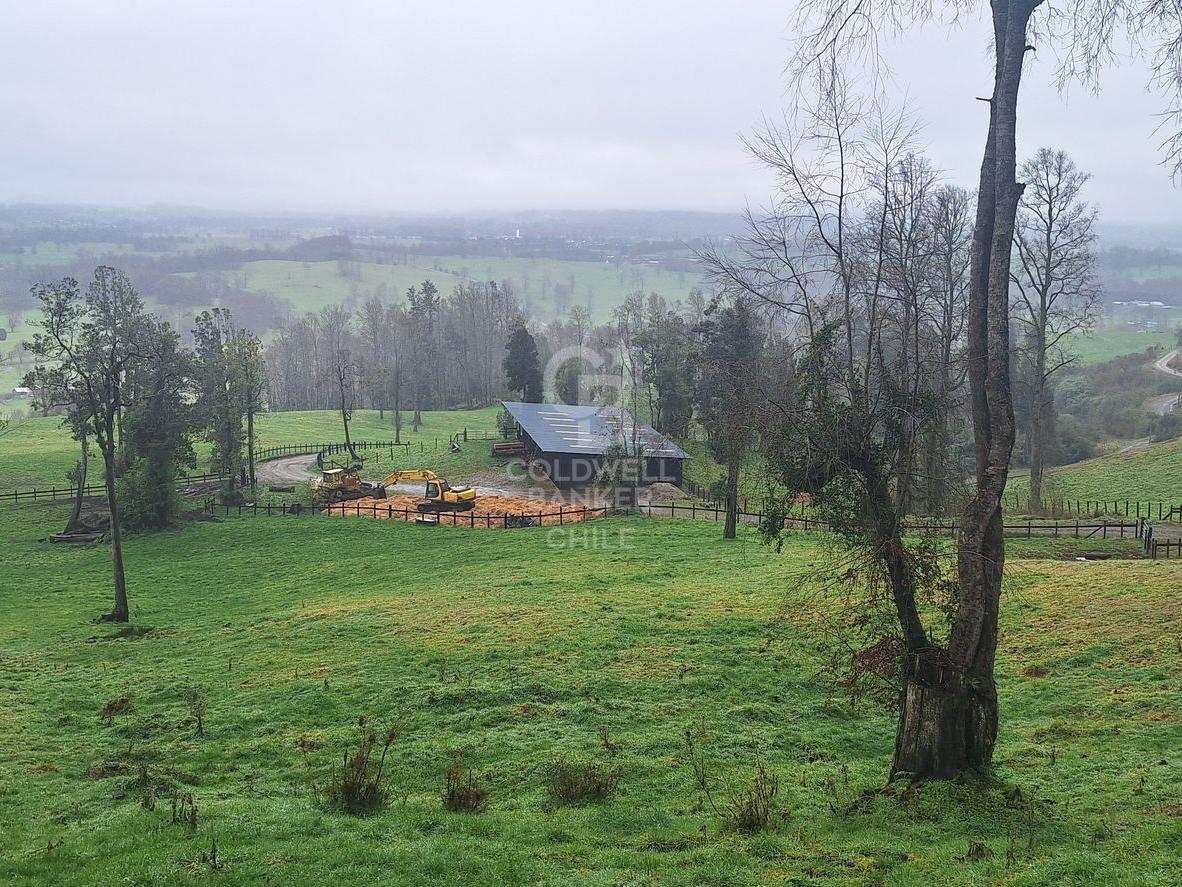 Futrono, Chile, 4 Bedrooms Bedrooms, ,3 BathroomsBathrooms,Residential,For Sale,1966703