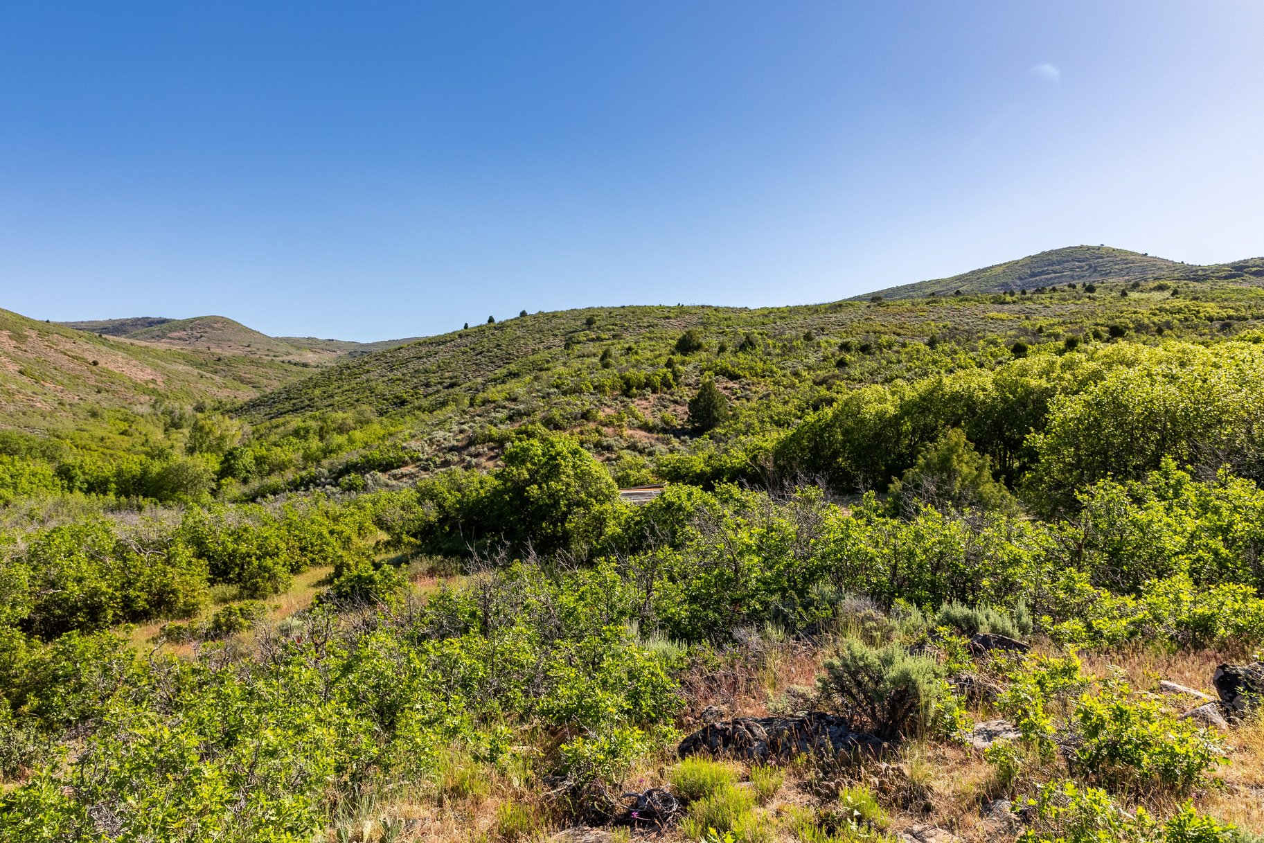  The Ultimate Multi-Generational Mountain Retreat Backing to 500 Acres of Open Sp - 物件實景