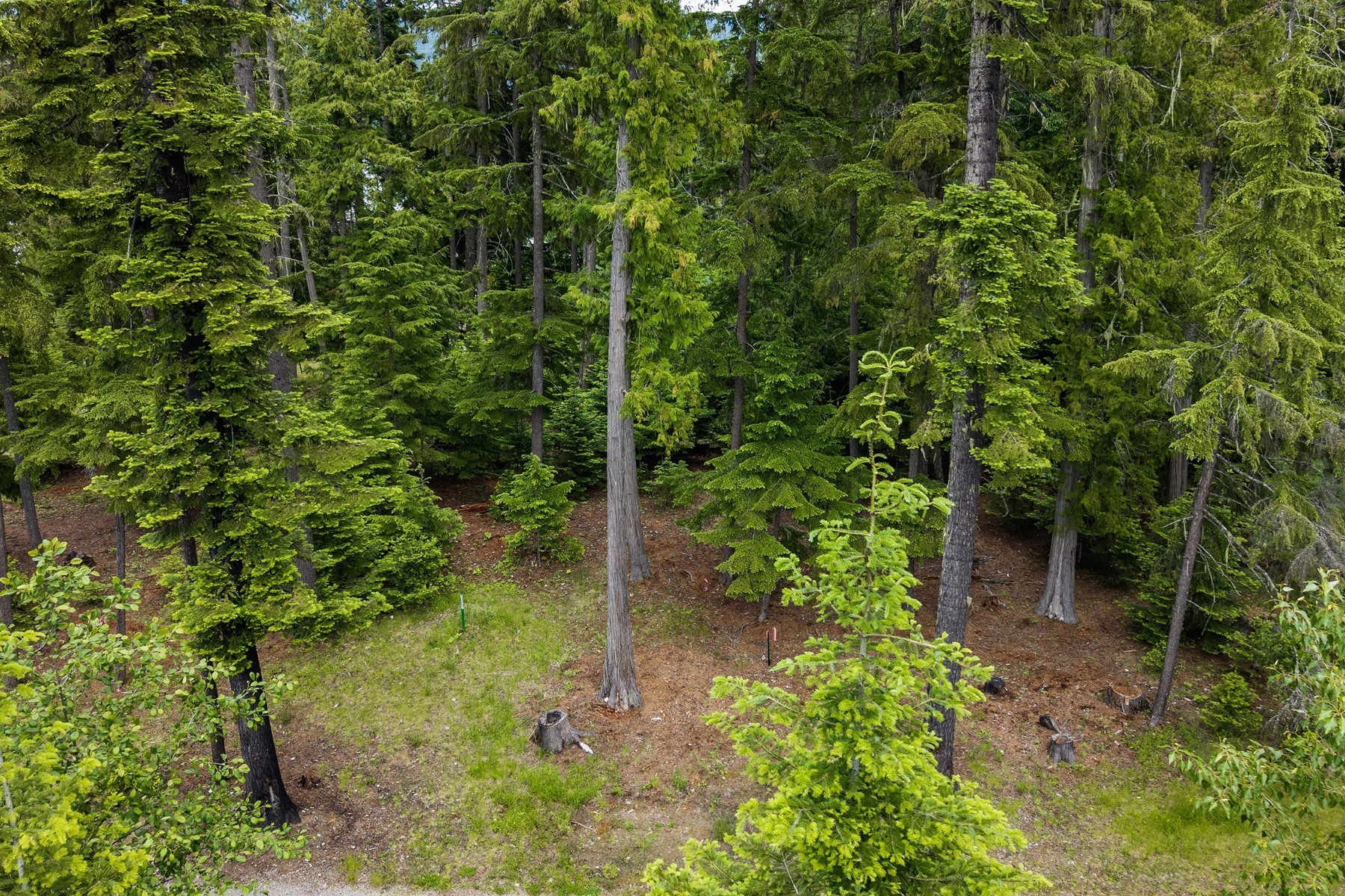  Priest Lake Idaho Building Lots - 物件實景