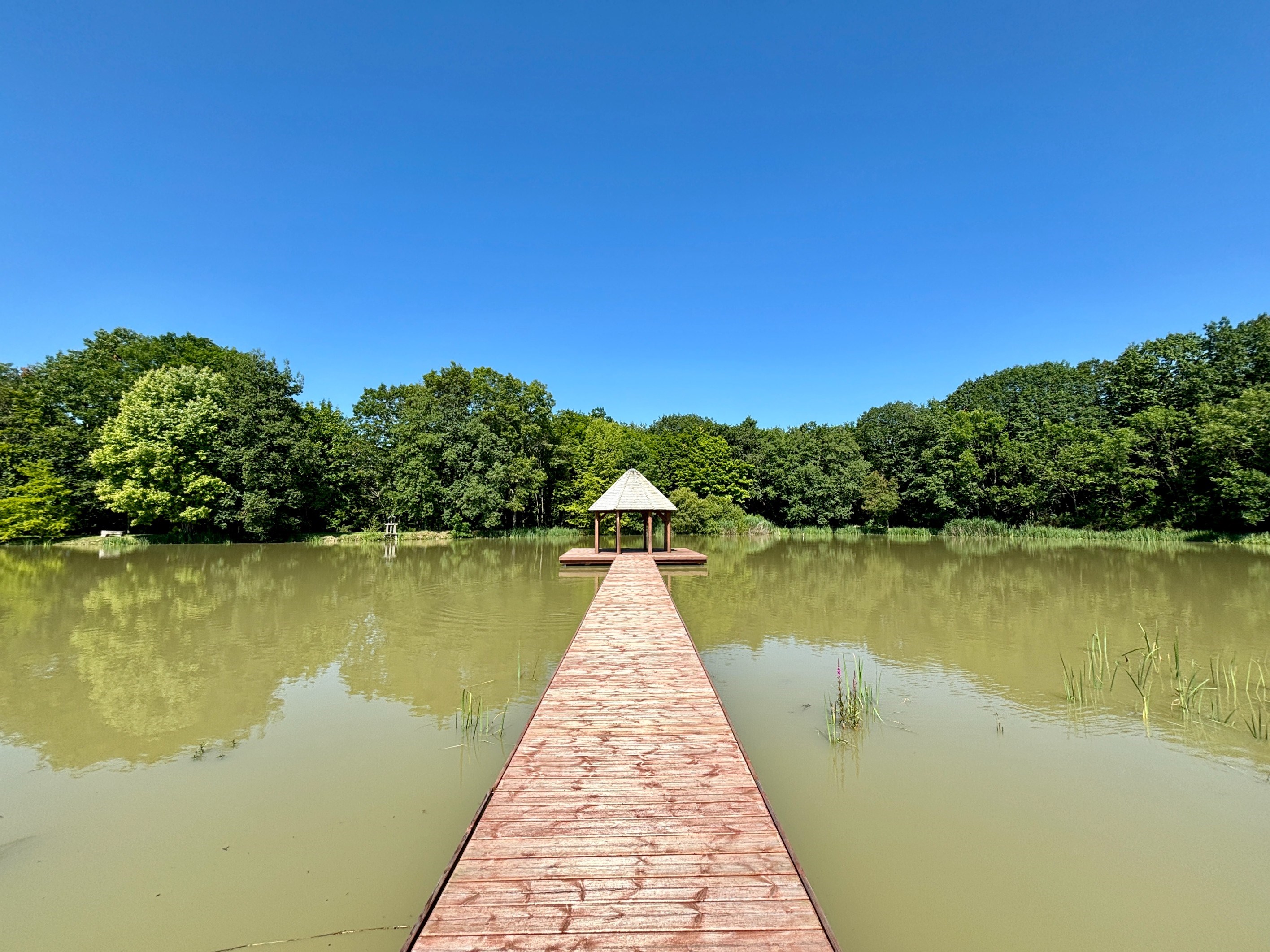  Dream property - 物件實景