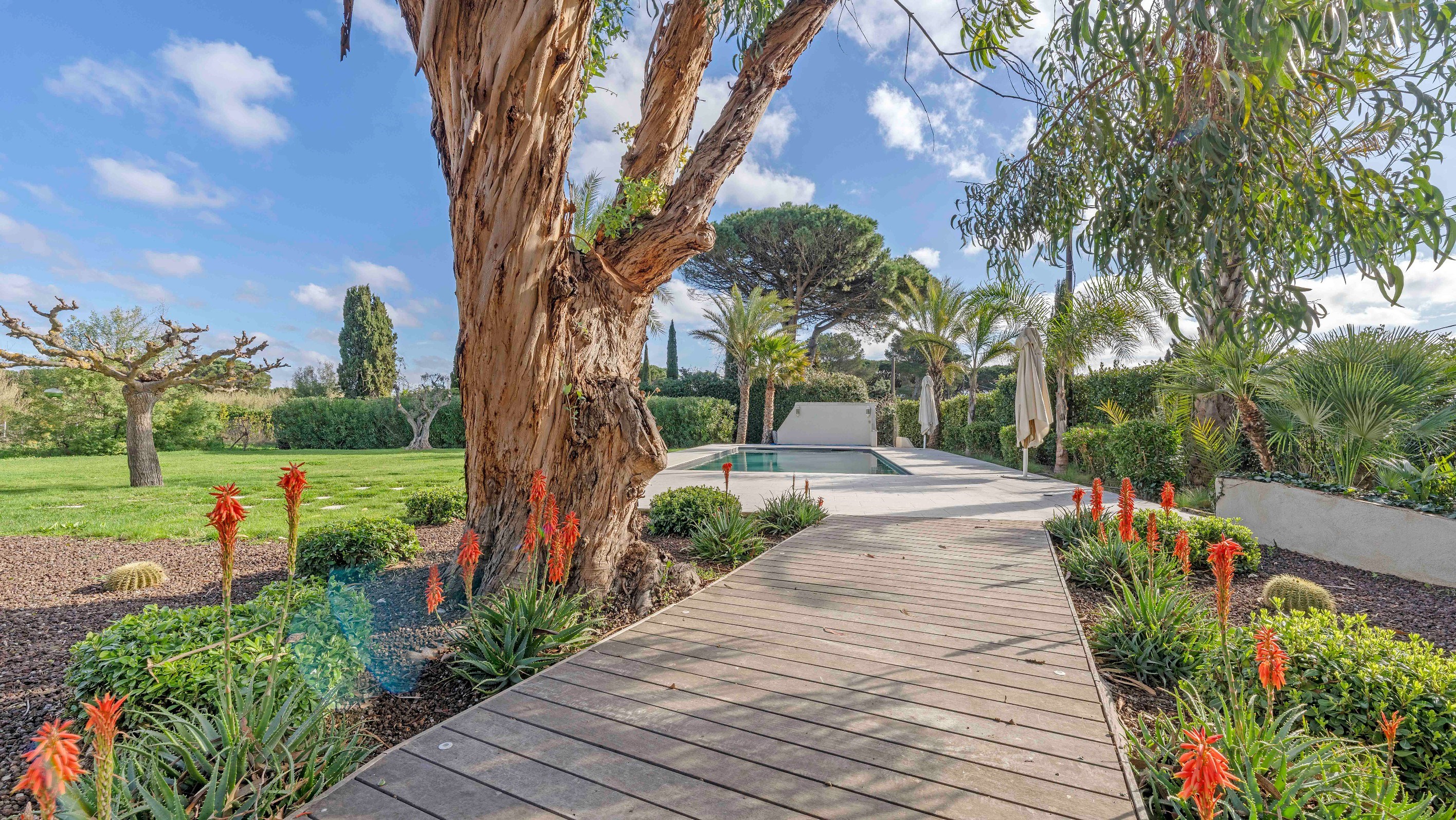  Ramatuelle Pampelonne villa 162 sqm vineyard land 7130 sqm pool near beach - 物件實景