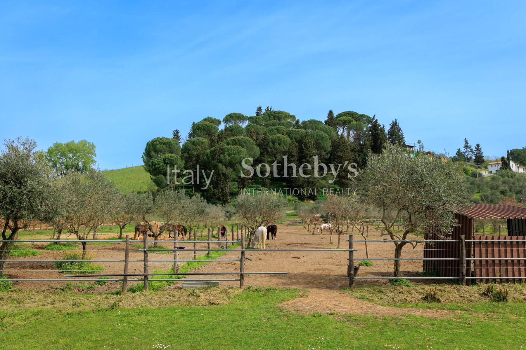  Stunning estate with stables in San Miniato - 物件實景