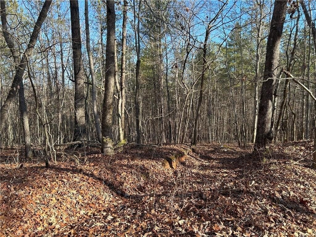 Dawsonville, Georgia, 30148, United States, ,Land,For Sale,1978894