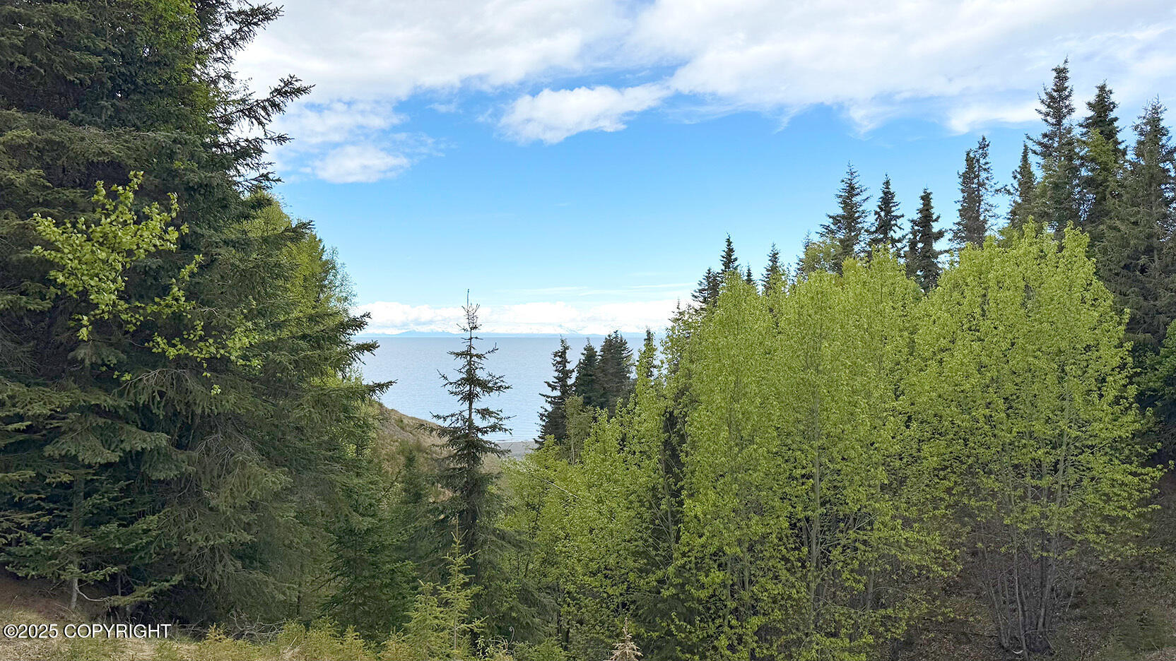 Kasilof, Alaska, 99610, United States, ,Land,For Sale,1975582