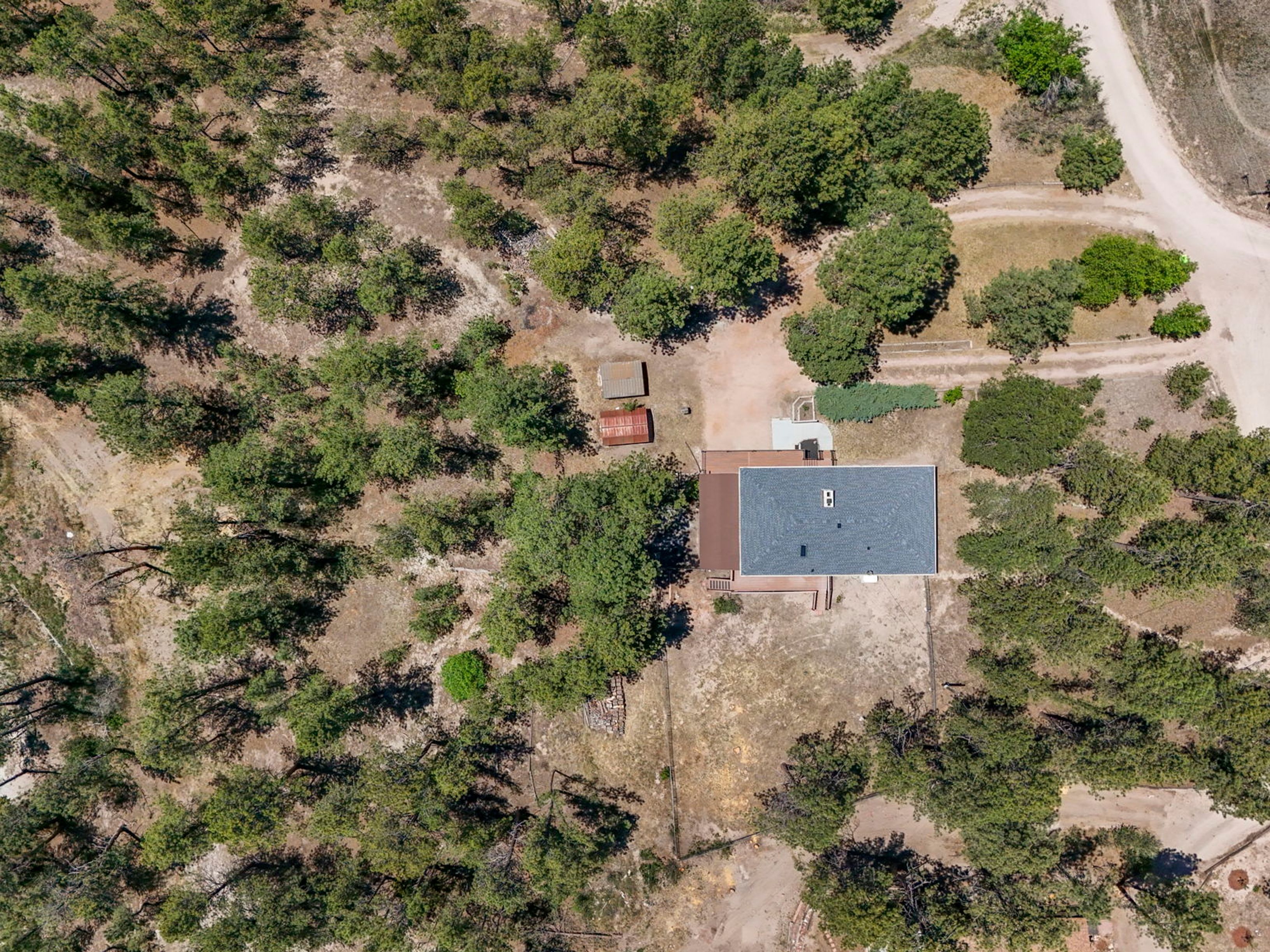  Extremely desirable southwest Black Forest location on stunning 5 wooded acres - 物件實景