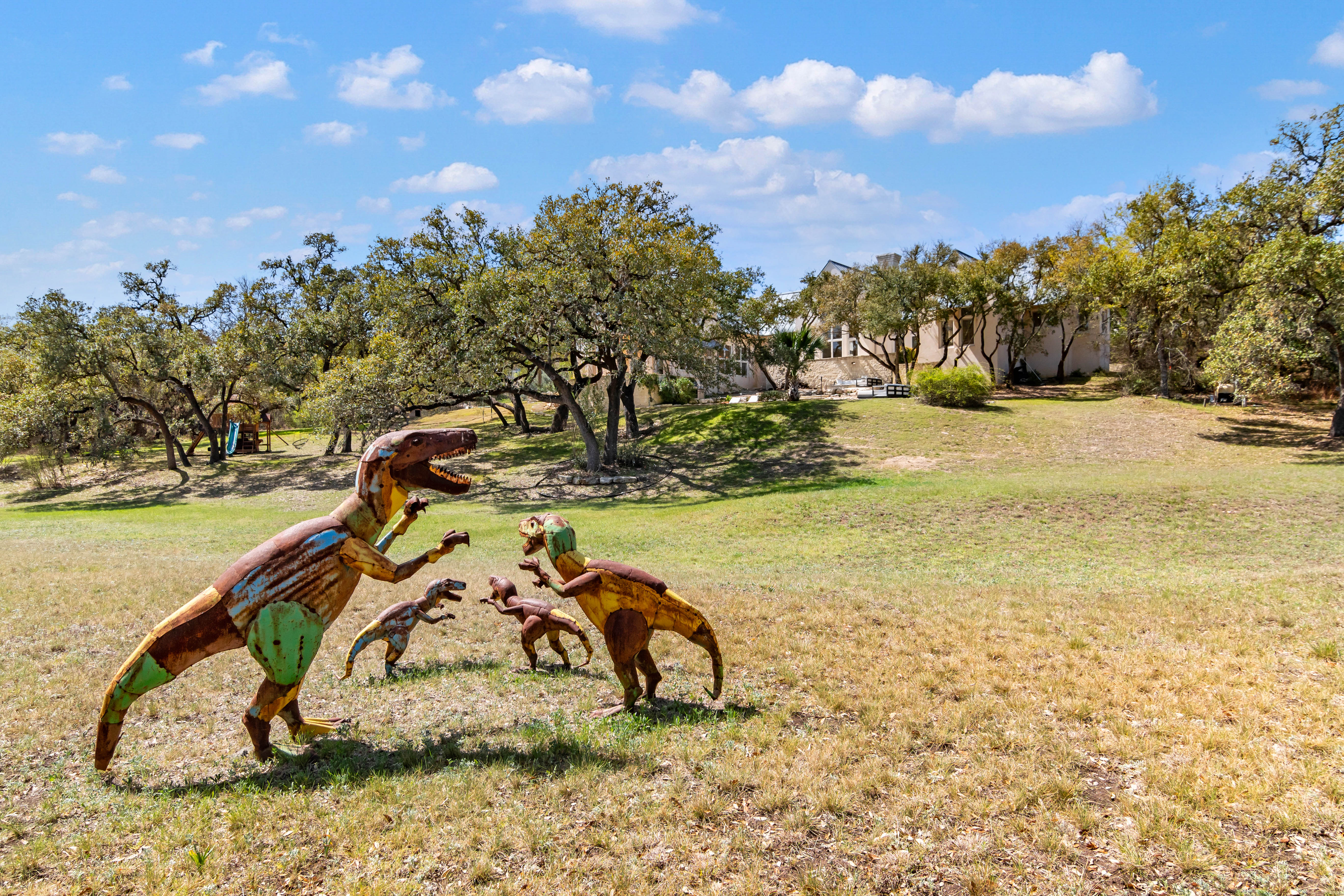  Hill Country Estate with Privacy and Presence - 物件實景
