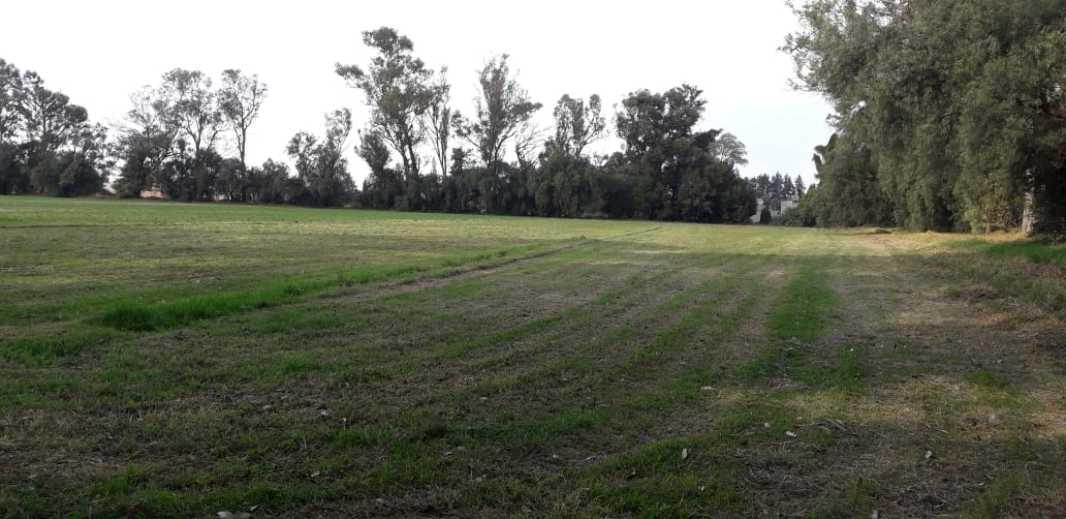 Prolongacion Progreso, Teoloyucan, Estado de México, 54783, Mexico, 1 Bedroom Bedrooms, ,Residential,For Sale,Prolongacion Progreso,1443396