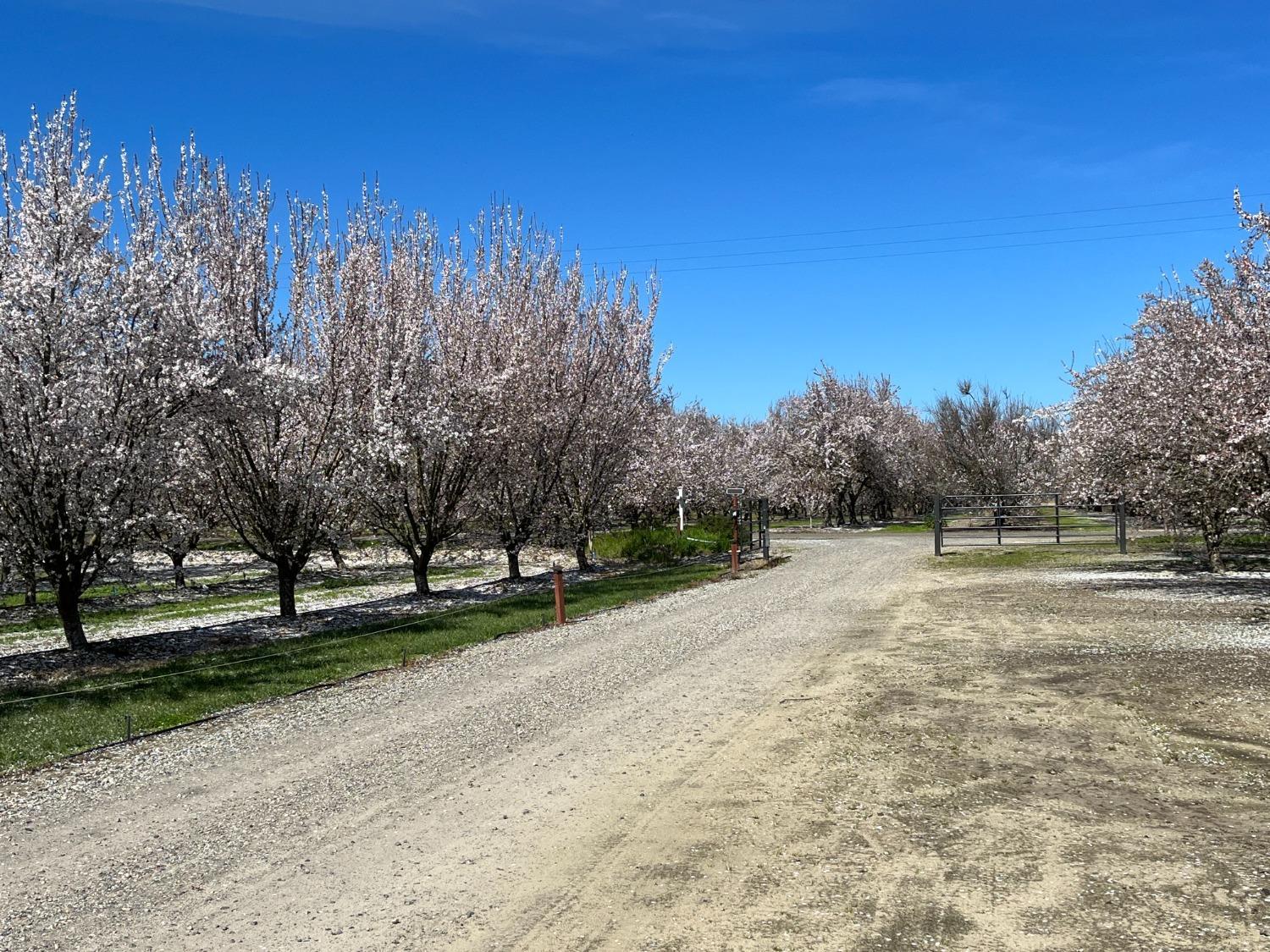 Delhi, California, 95315, United States, 3 Bedrooms Bedrooms, ,4 BathroomsBathrooms,Residential,For Sale,1975703