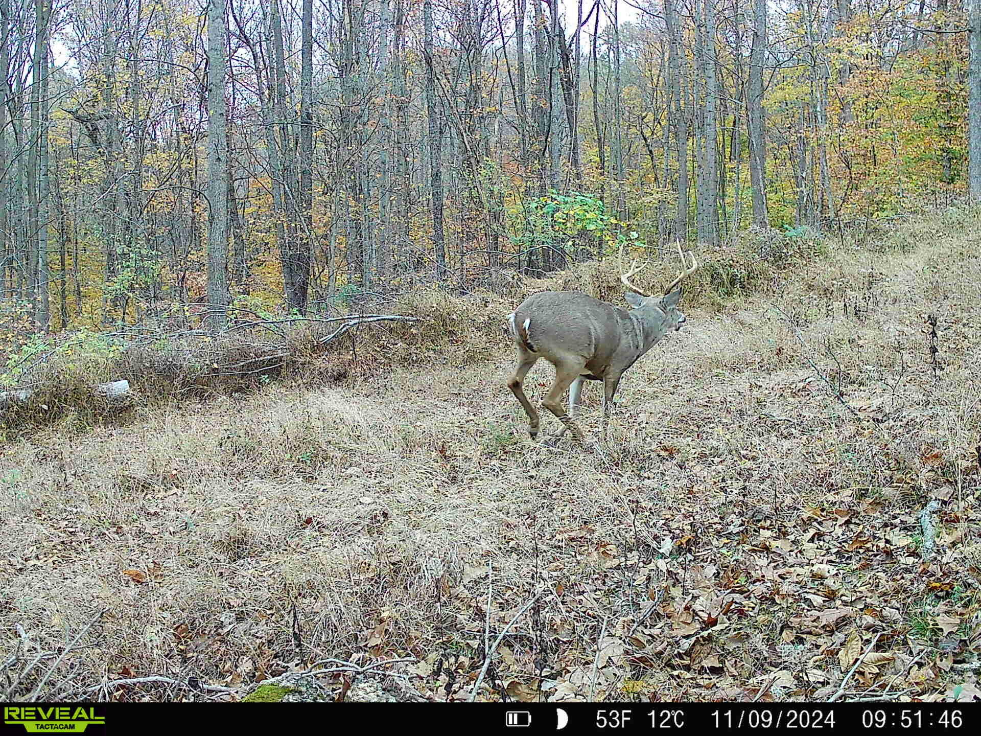 Boston, Kentucky, 40107, United States, 3 Bedrooms Bedrooms, ,2 BathroomsBathrooms,Residential,For Sale,1989069