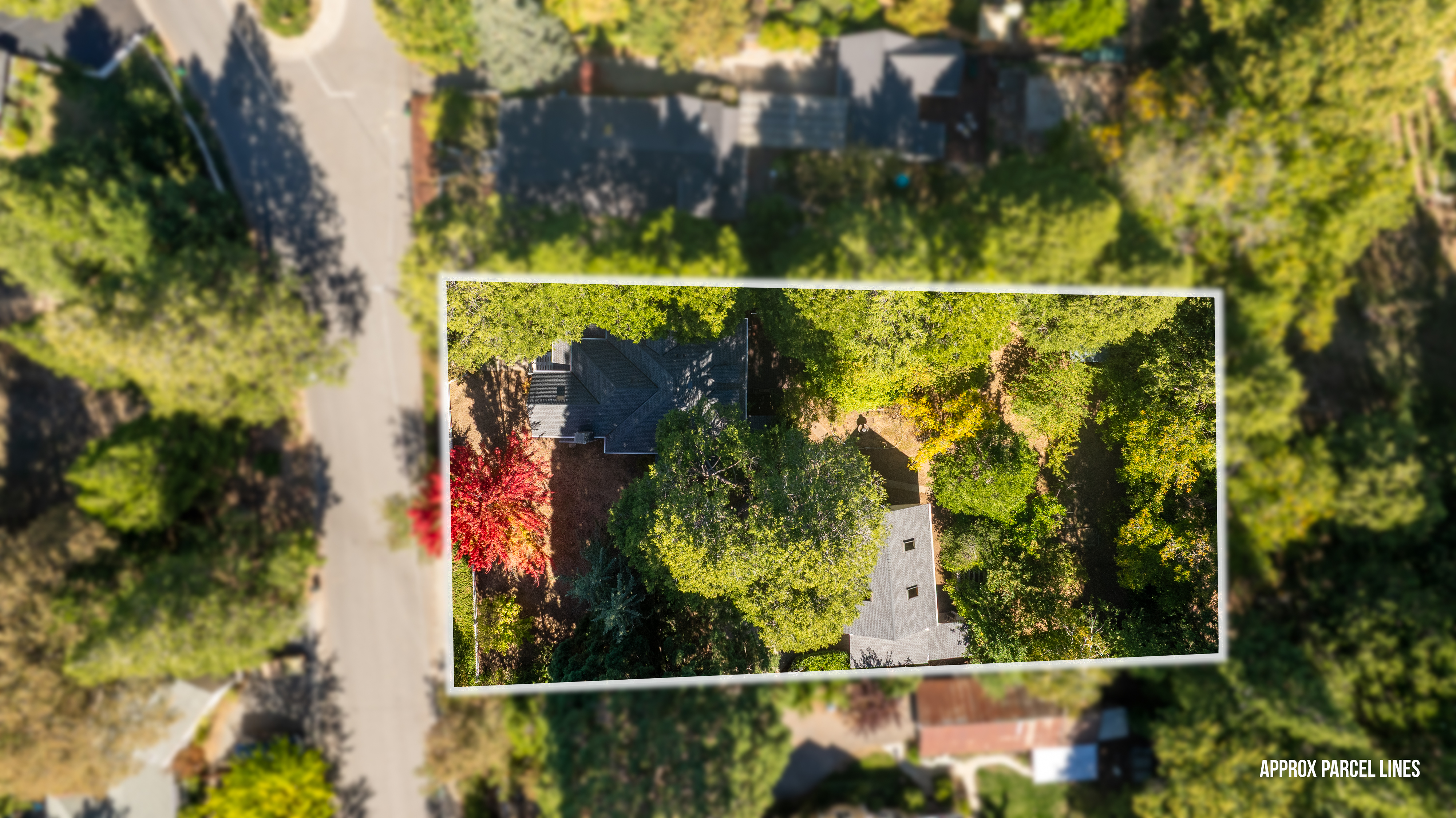  337 Clay Street, Nevada City, CA 95959 - 物件實景