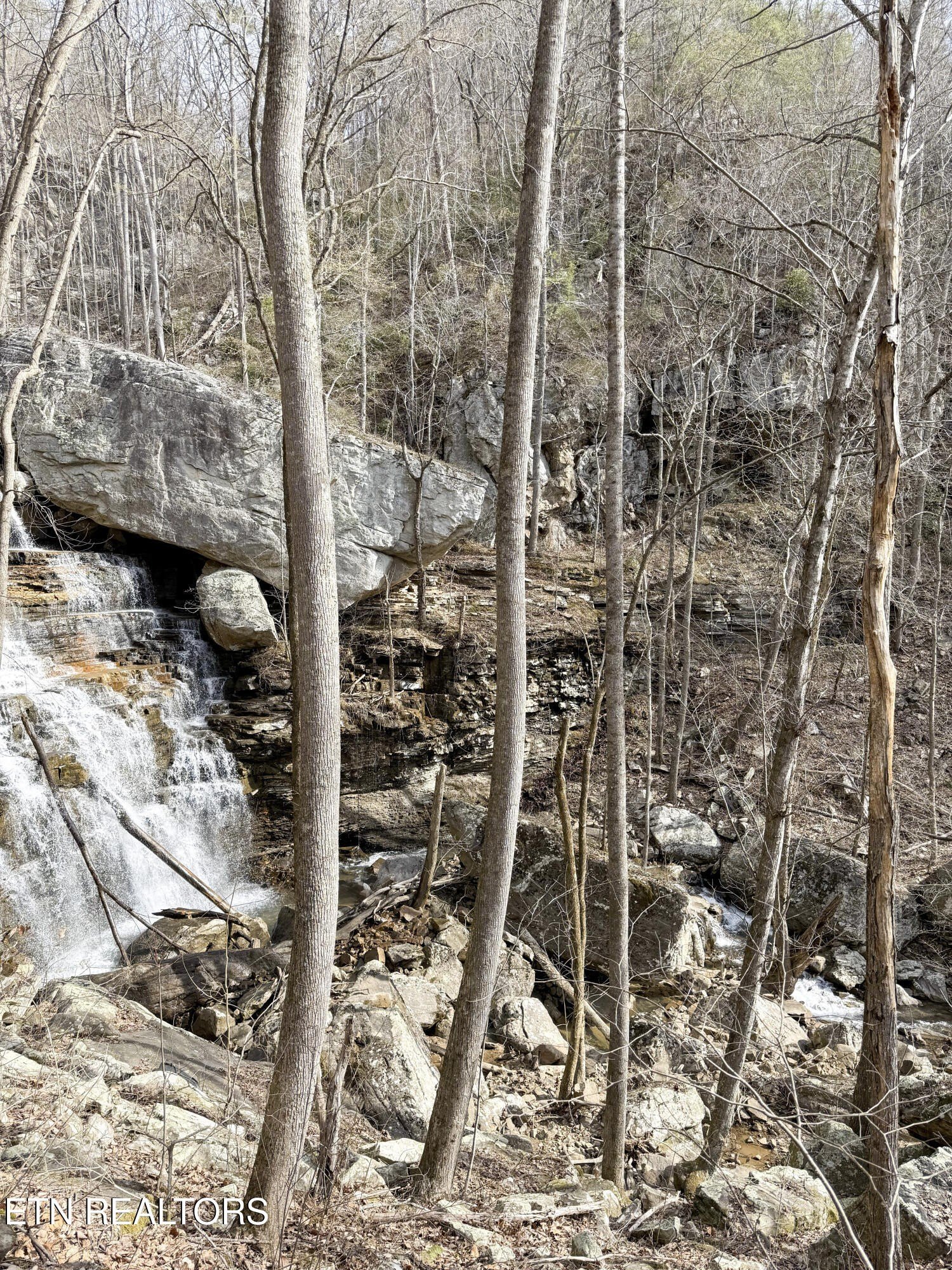 Pikeville, Tennessee, 37367, United States, ,Land,For Sale,1975616